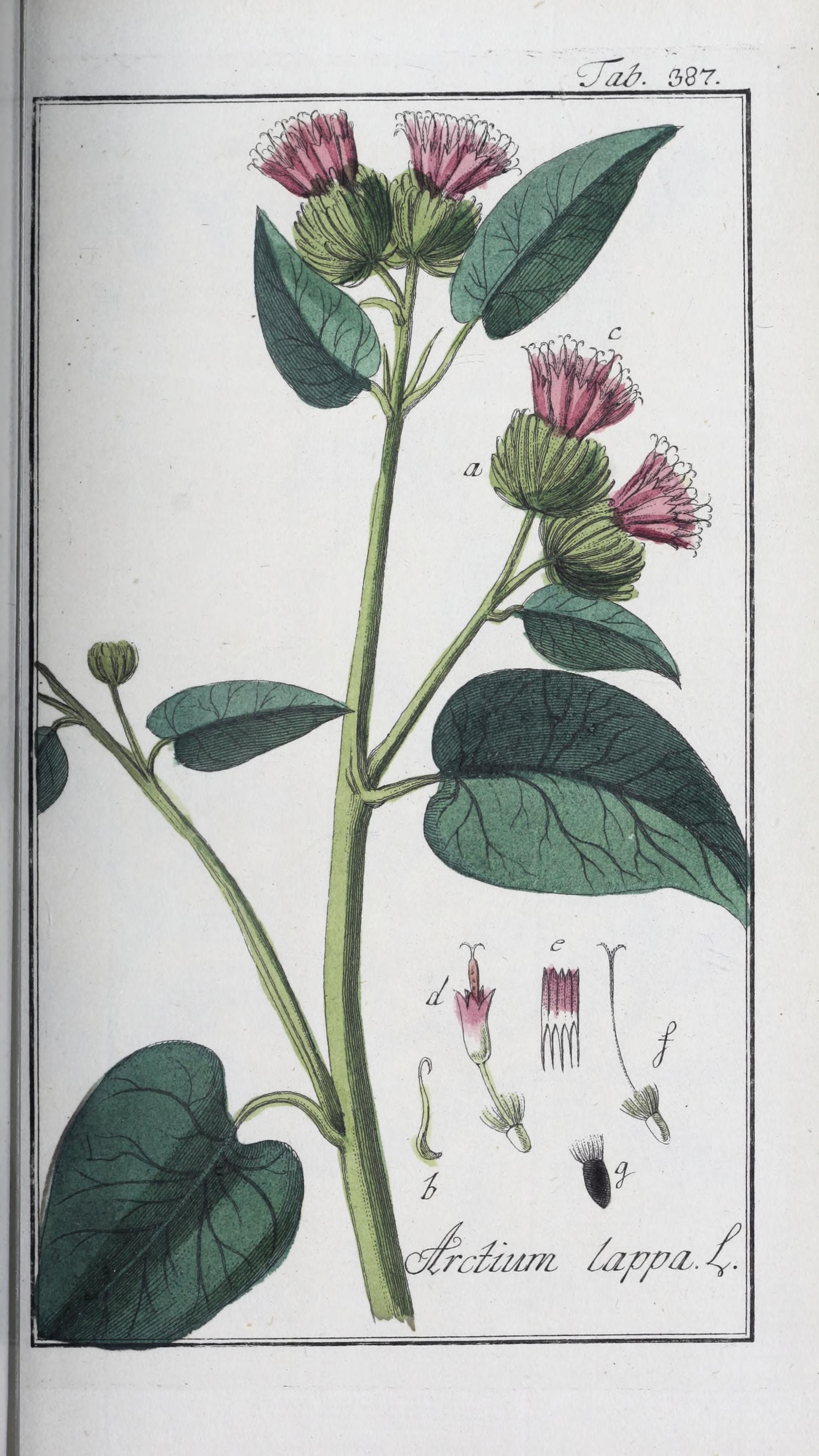 no full size  illustration available (3a)