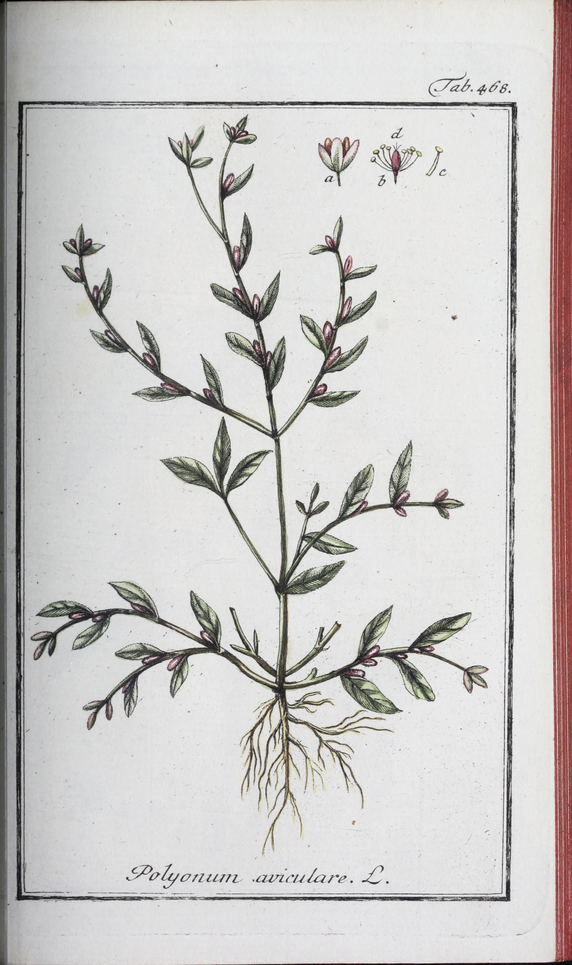 no full size  illustration available (3a)