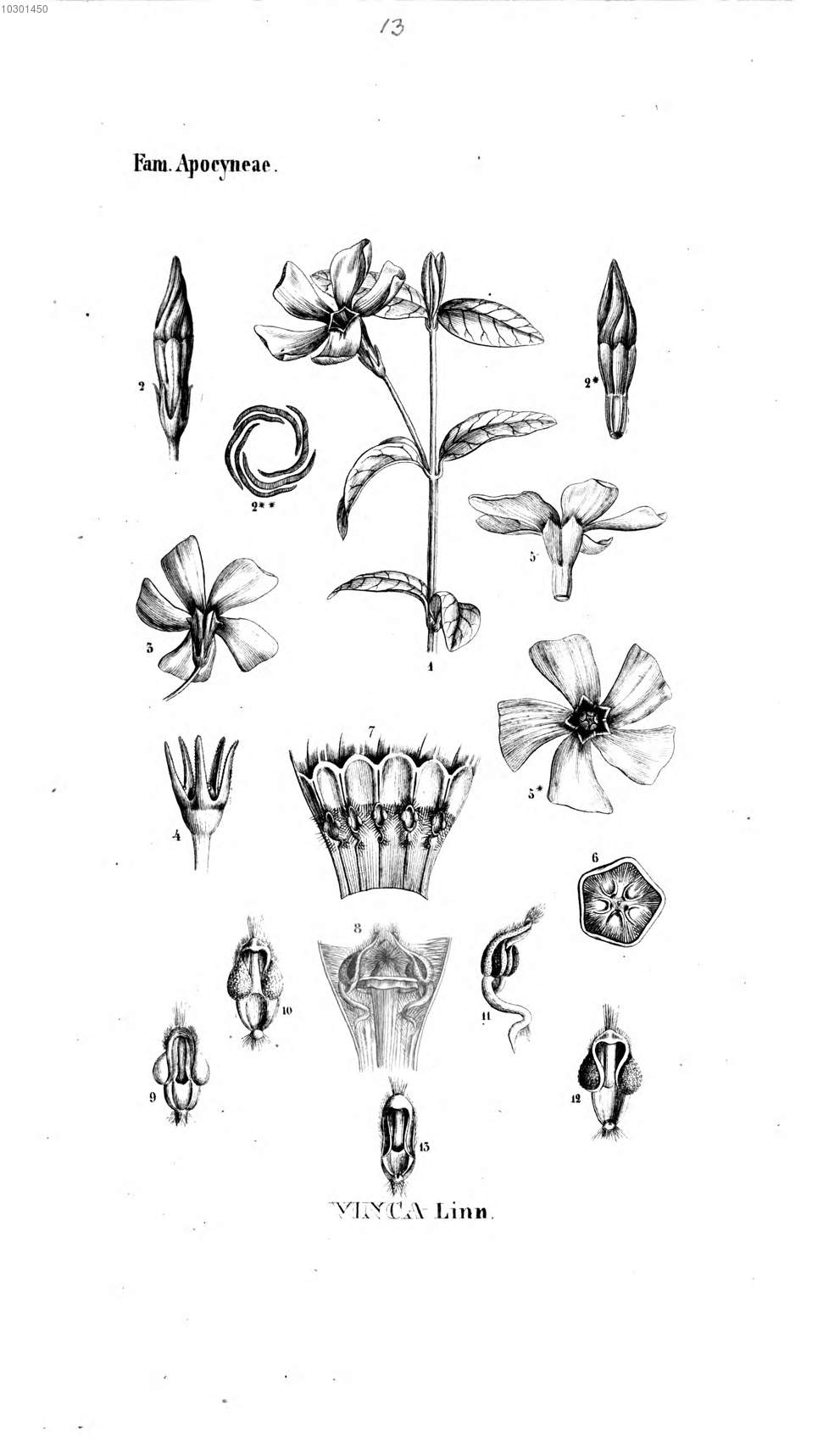 no full size  illustration available (3a)