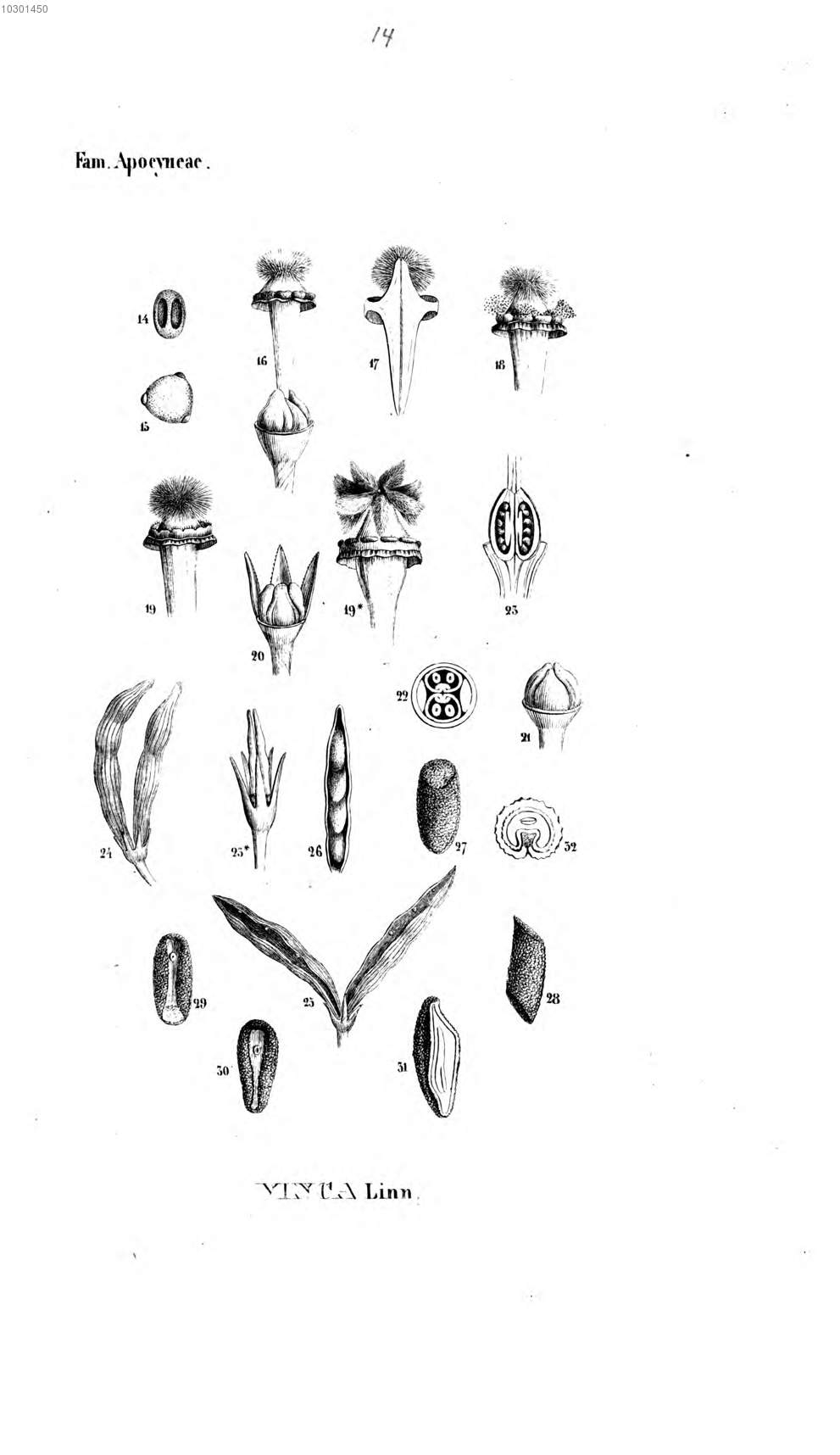 no full size  illustration available (3a)