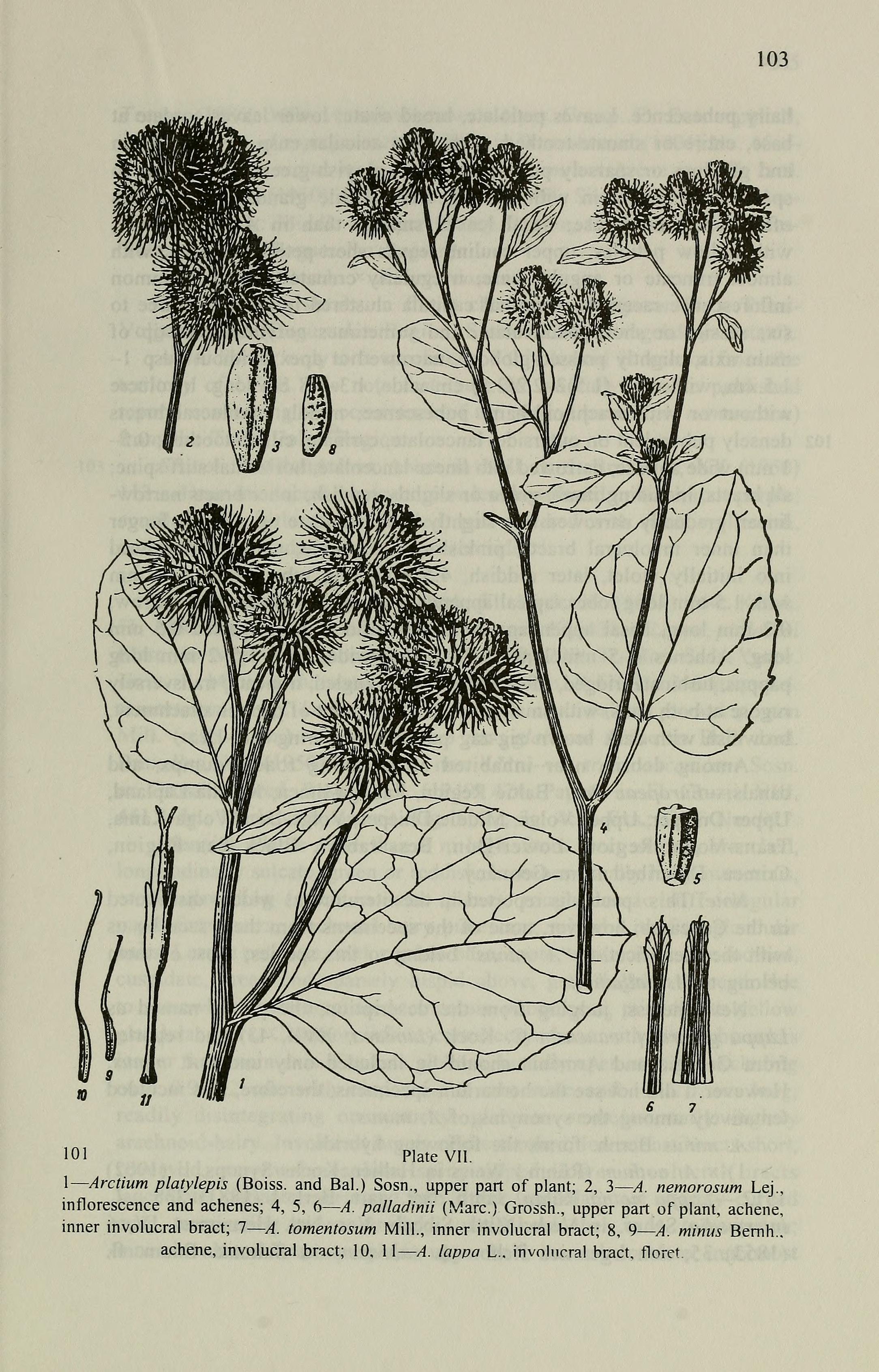 no full size  illustration available (3a)