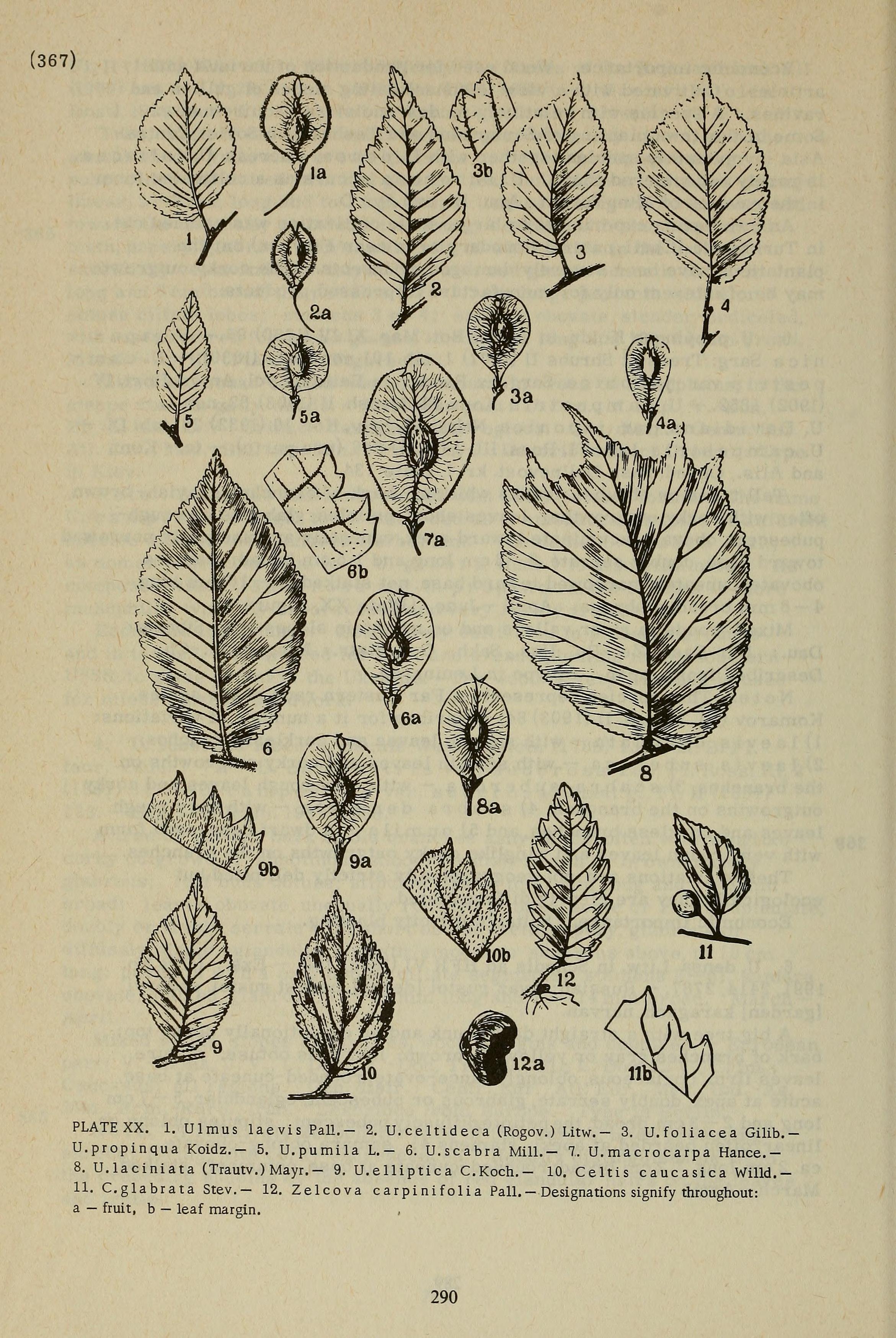 no full size  illustration available (3a)