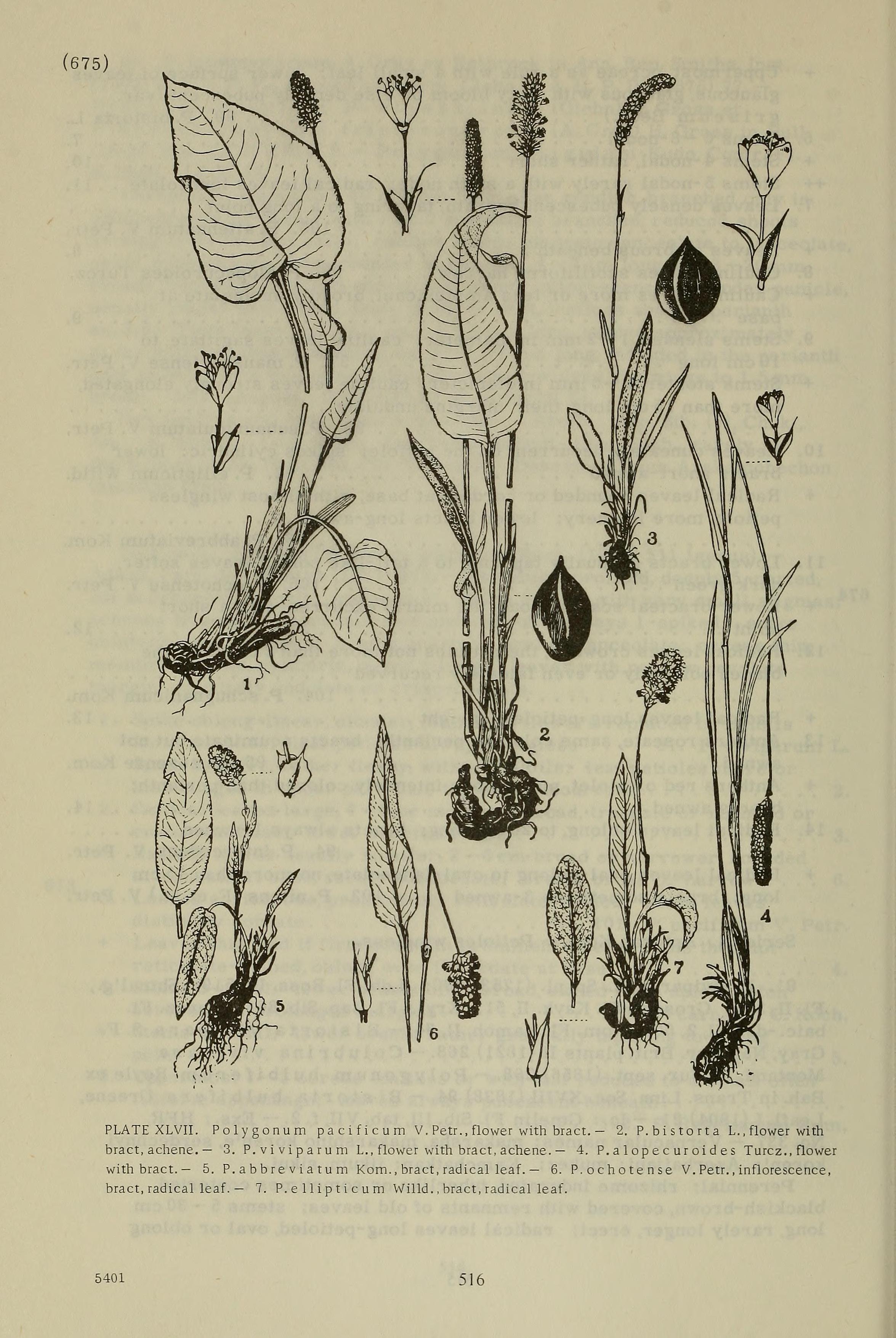 no full size  illustration available (3a)