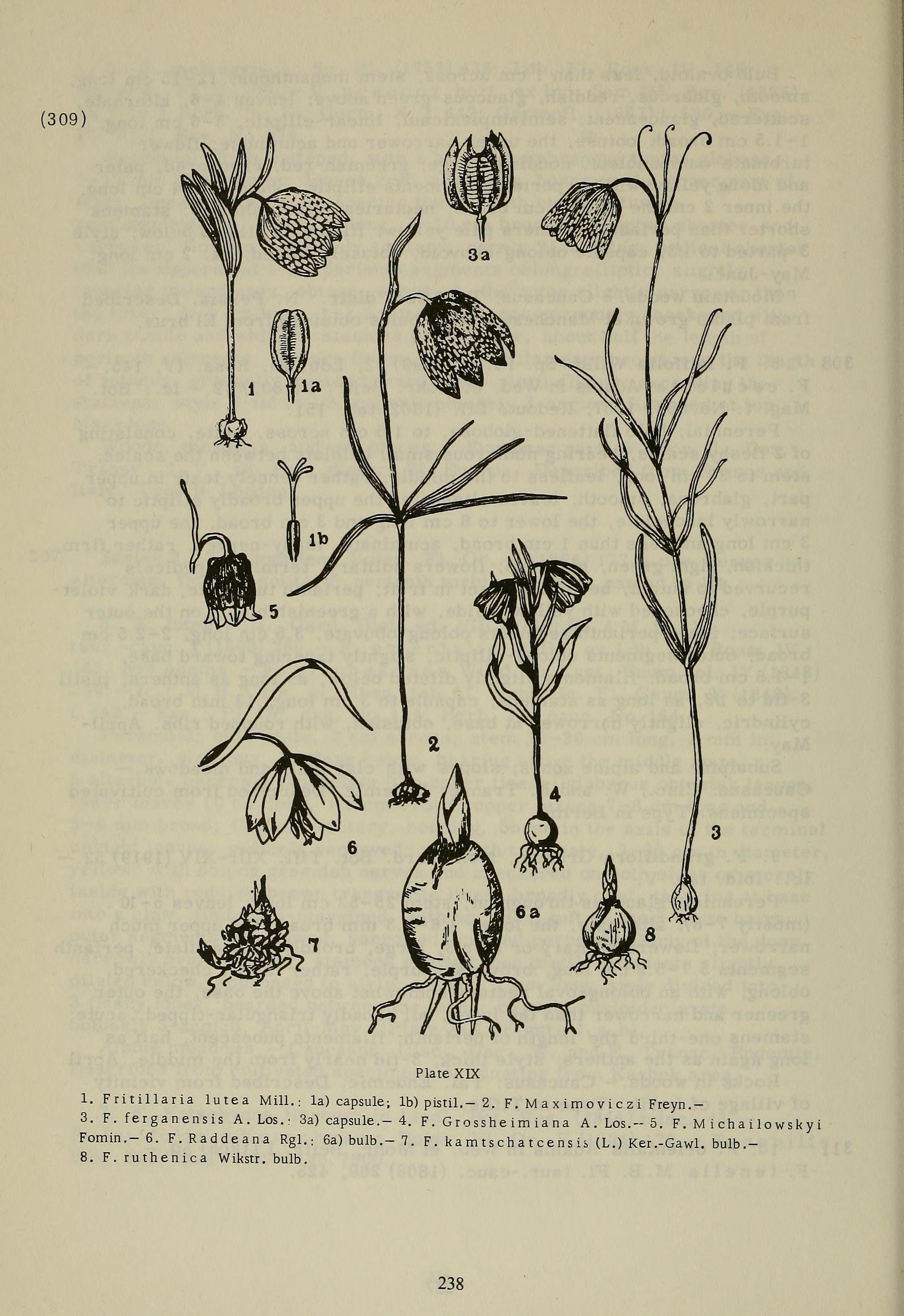 no full size  illustration available (3a)