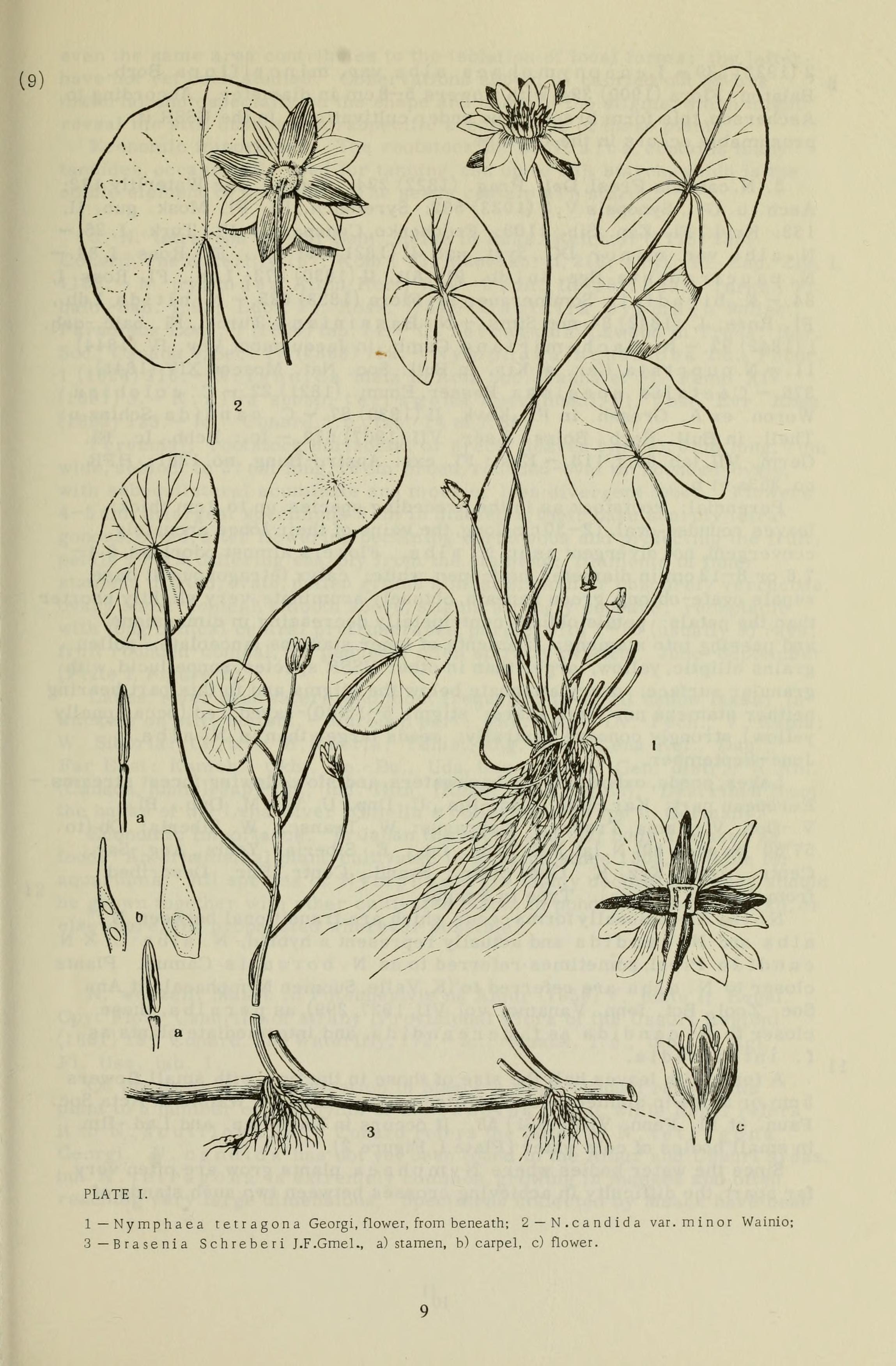 no full size  illustration available (3a)