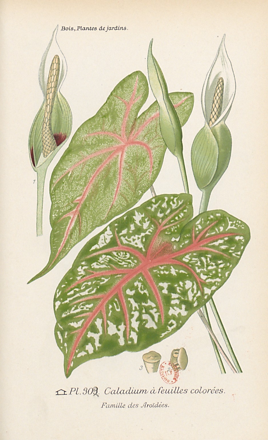 no full size  illustration available (3a)