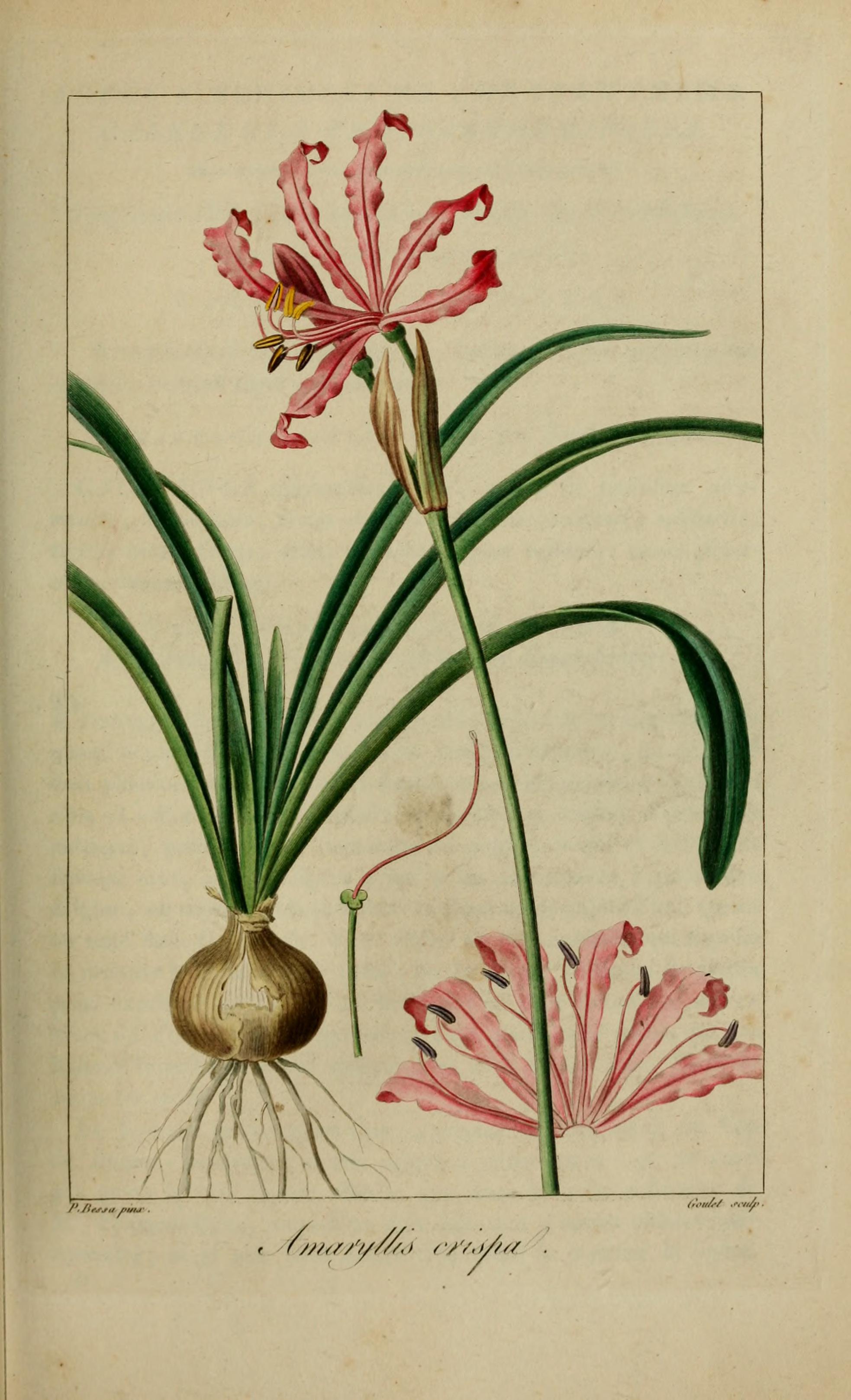 no full size  illustration available (3a)