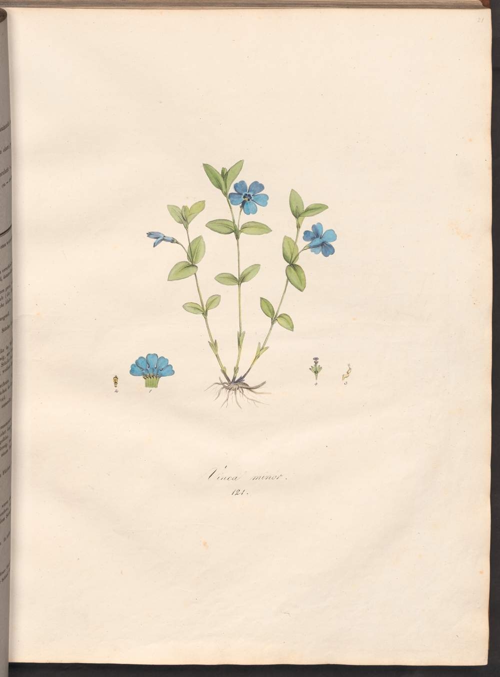 no full size  illustration available (3a)