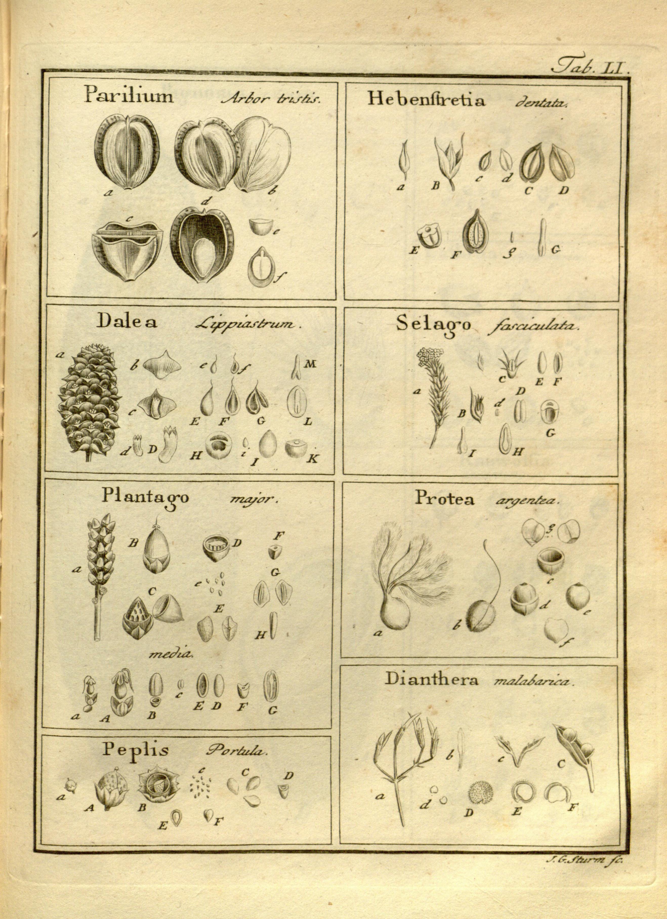 no full size  illustration available (3a)