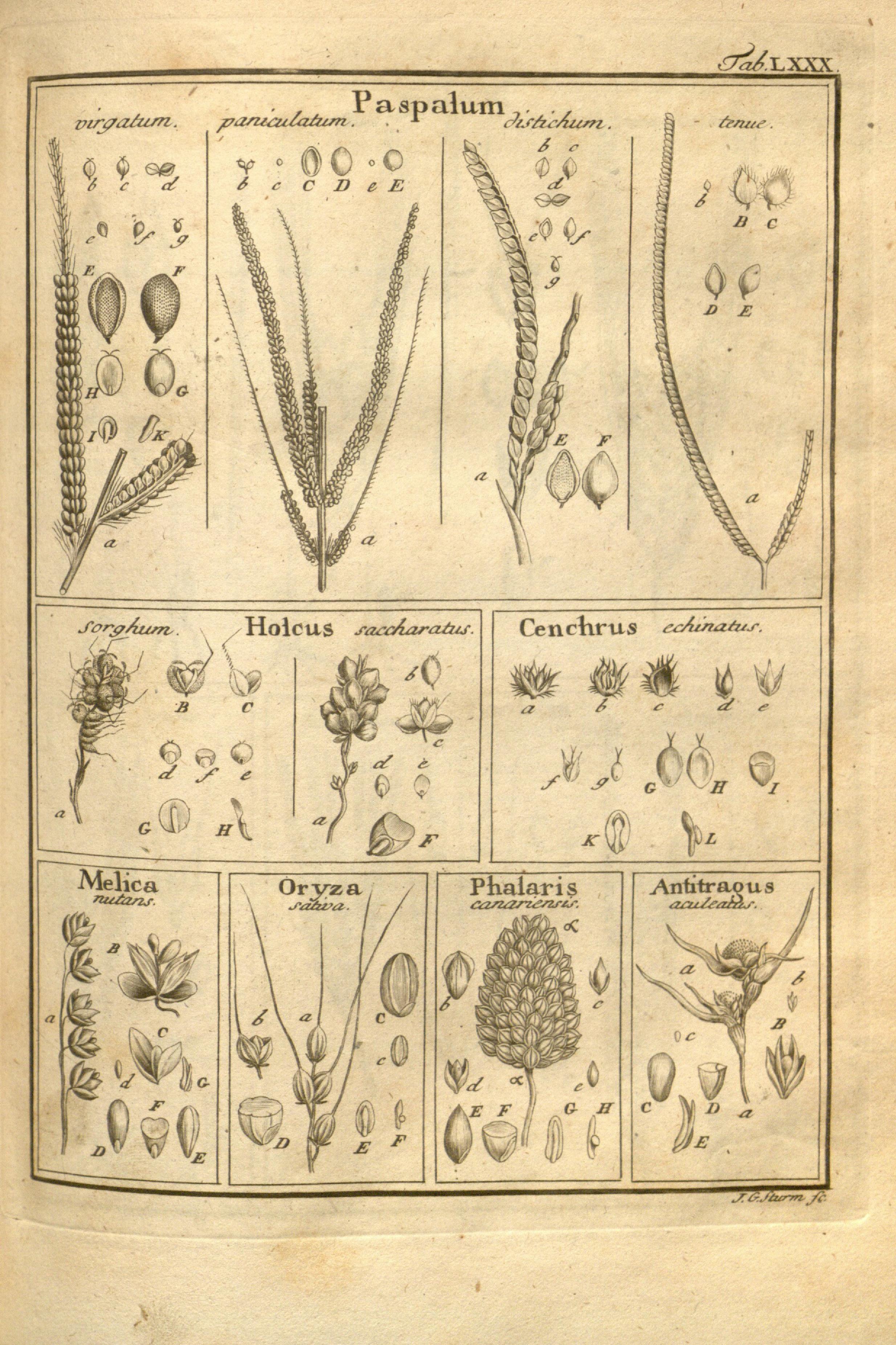 no full size  illustration available (3a)