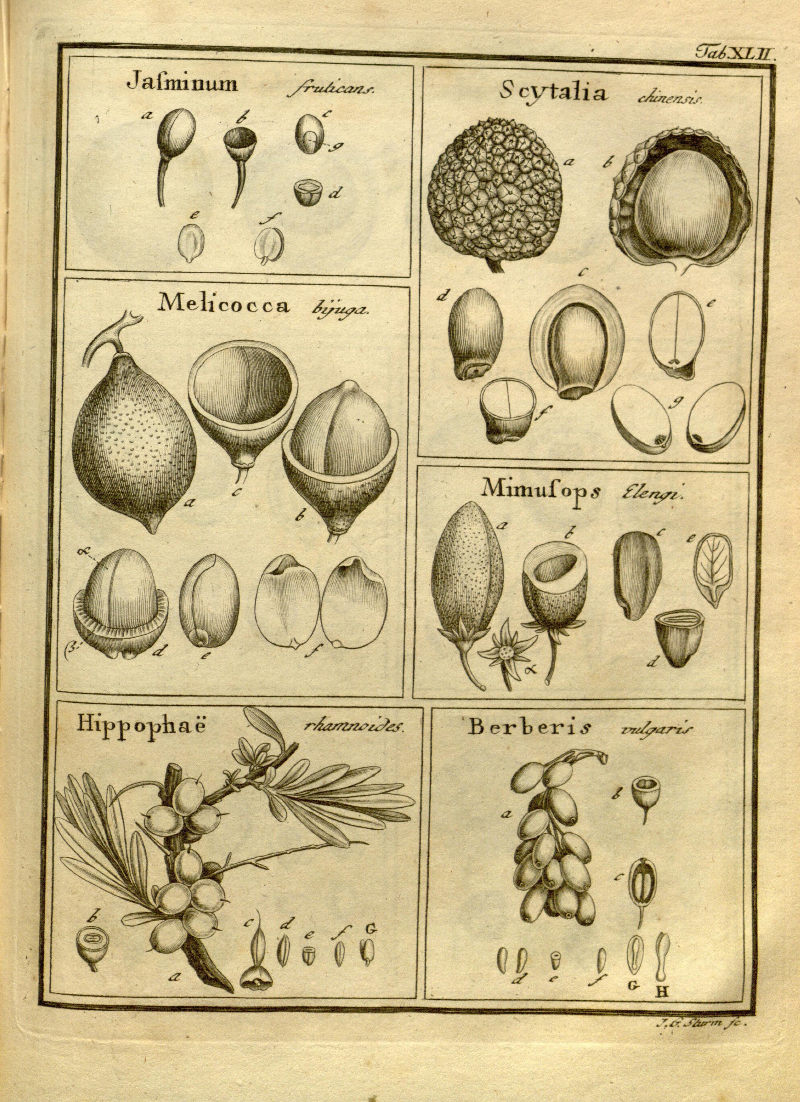 no full size  illustration available (3a)