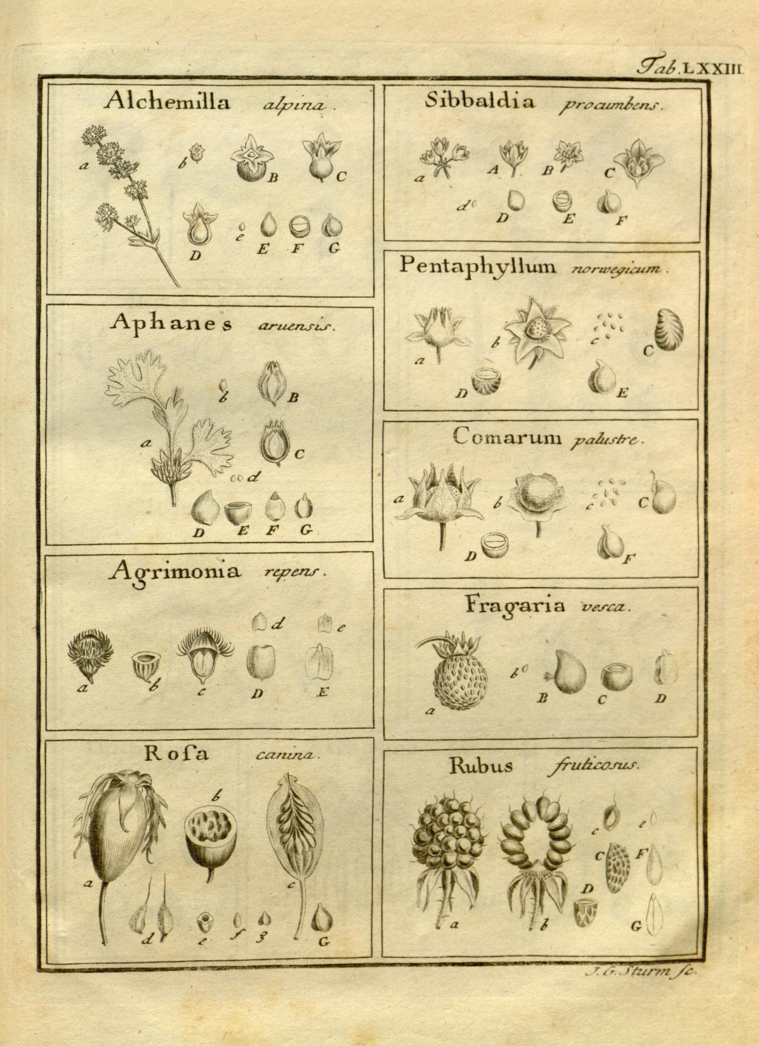 no full size  illustration available (3a)