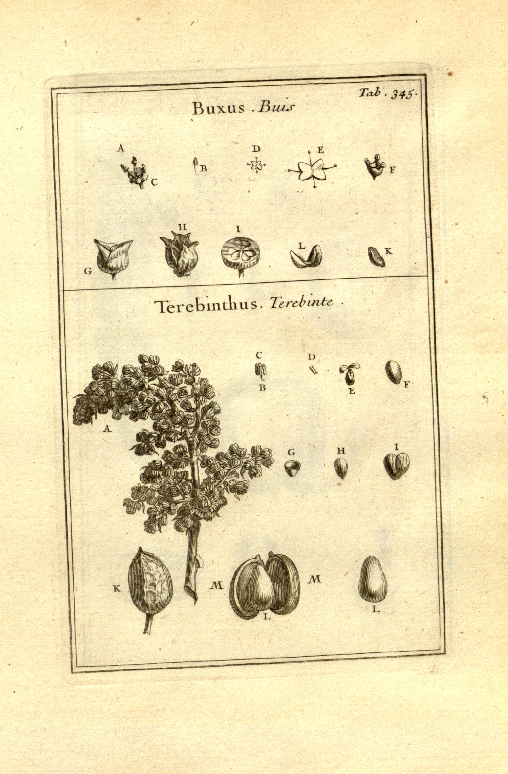 no full size  illustration available (3a)