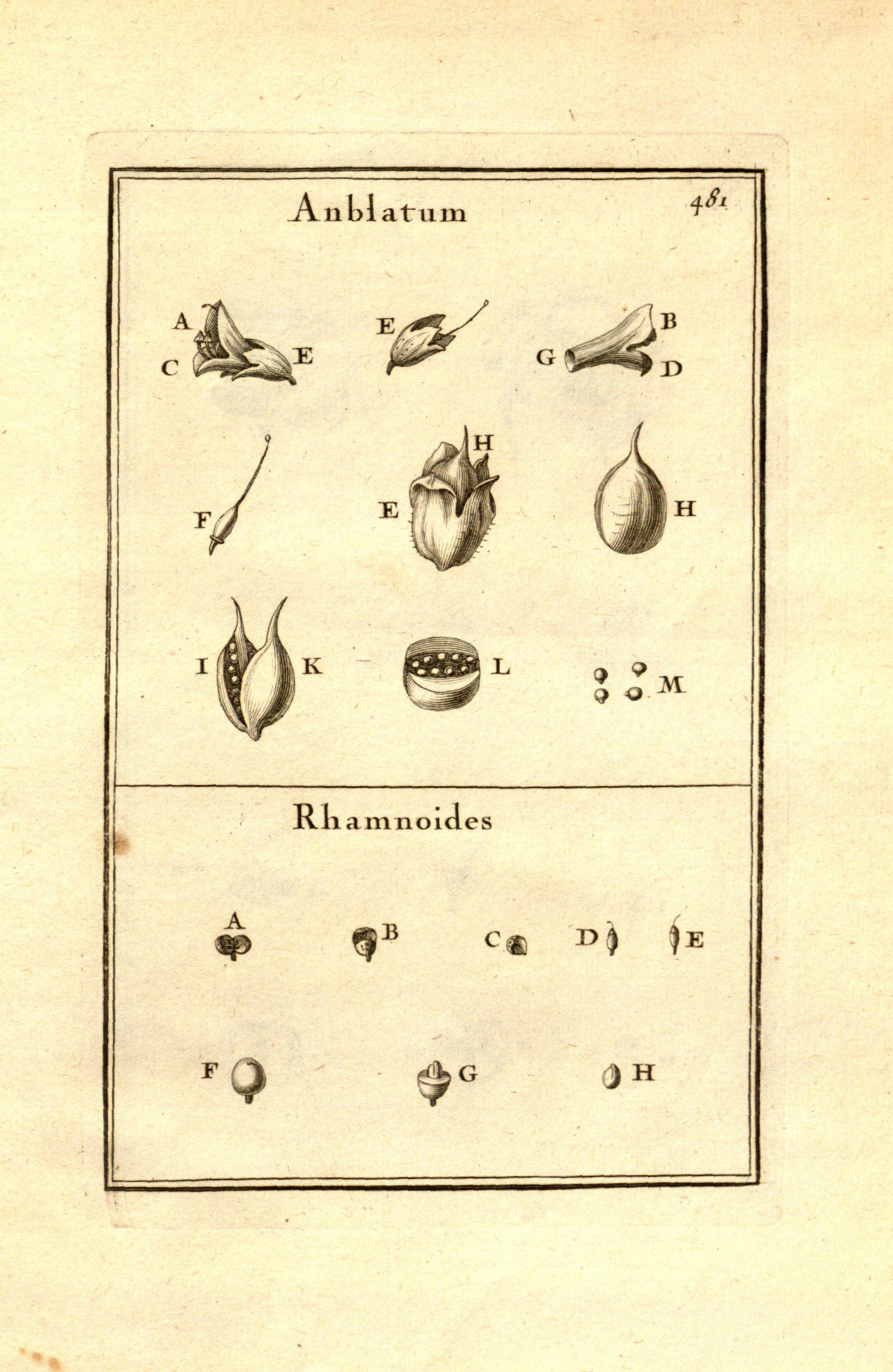 no full size  illustration available (3a)