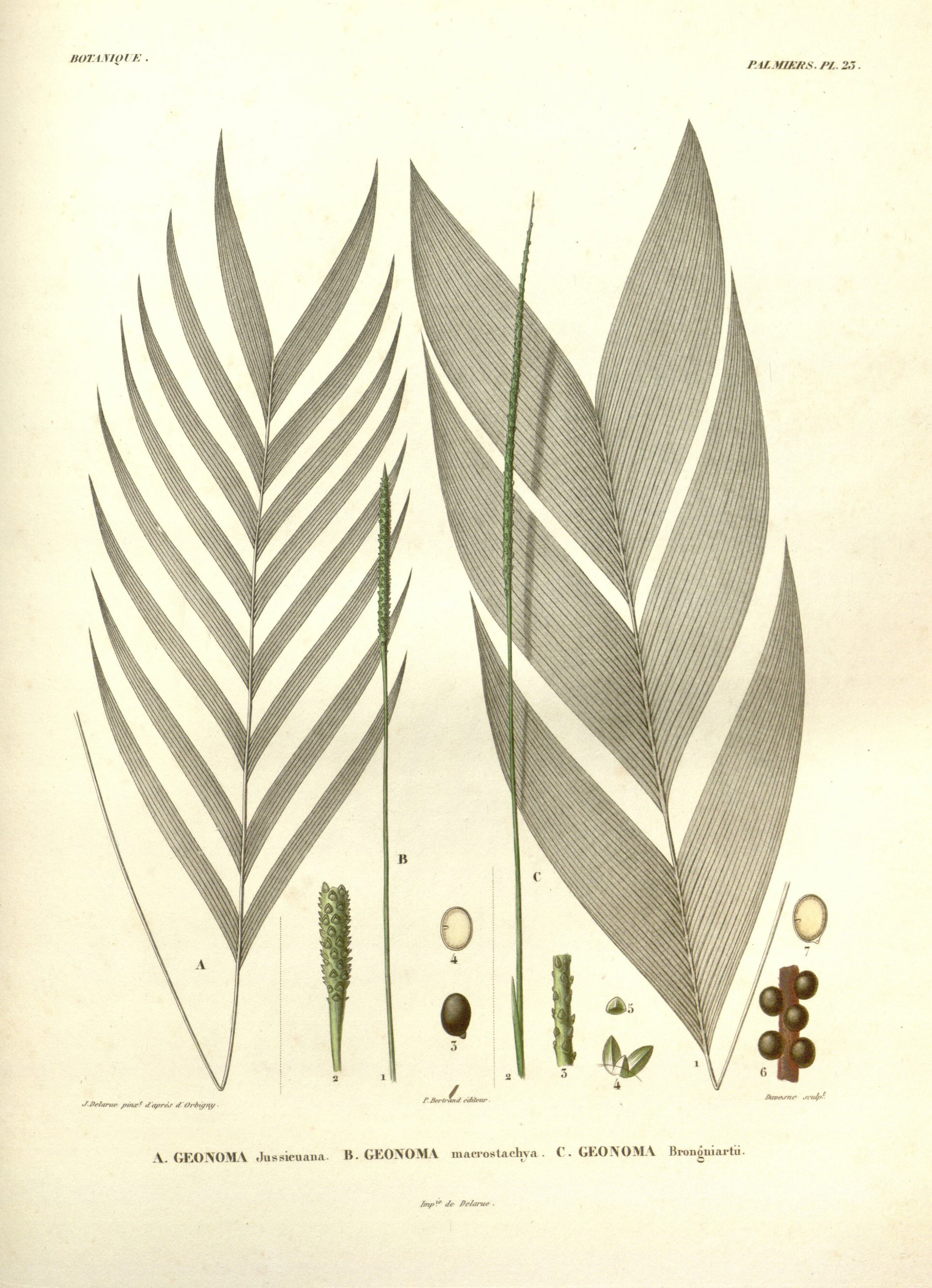 no full size  illustration available (3a)