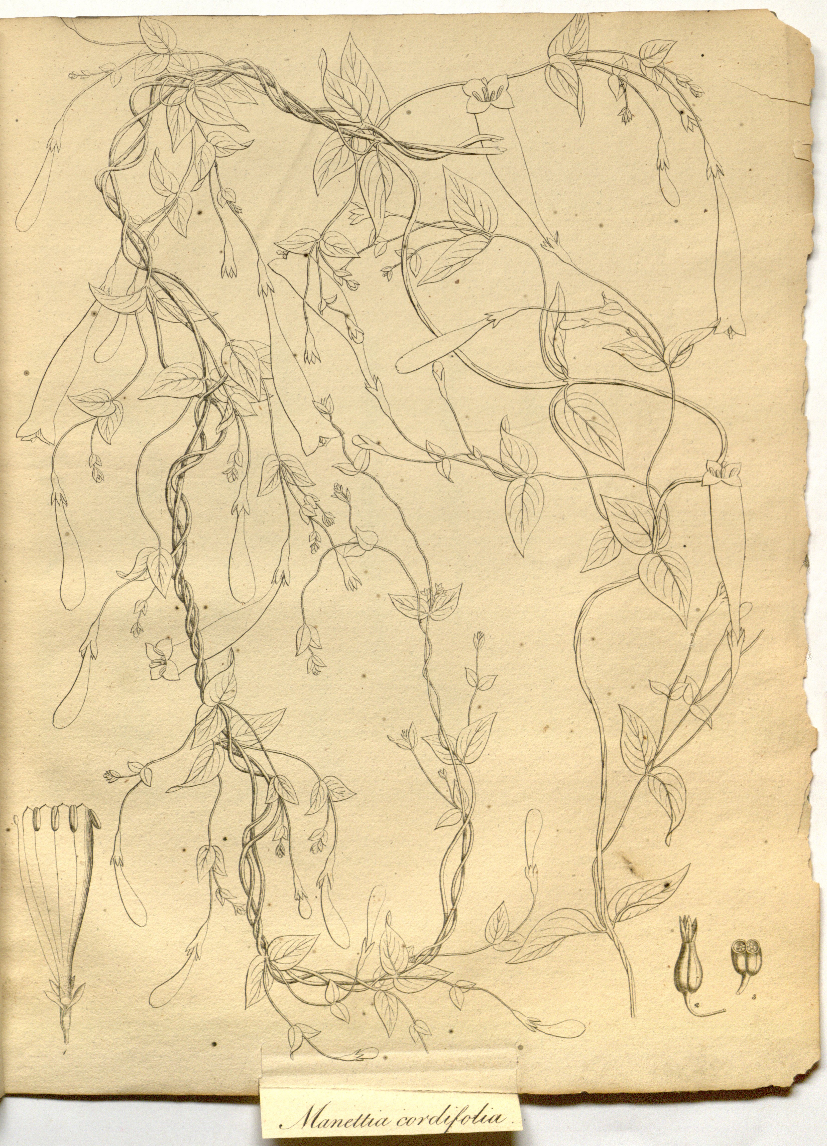 no full size  illustration available (3a)