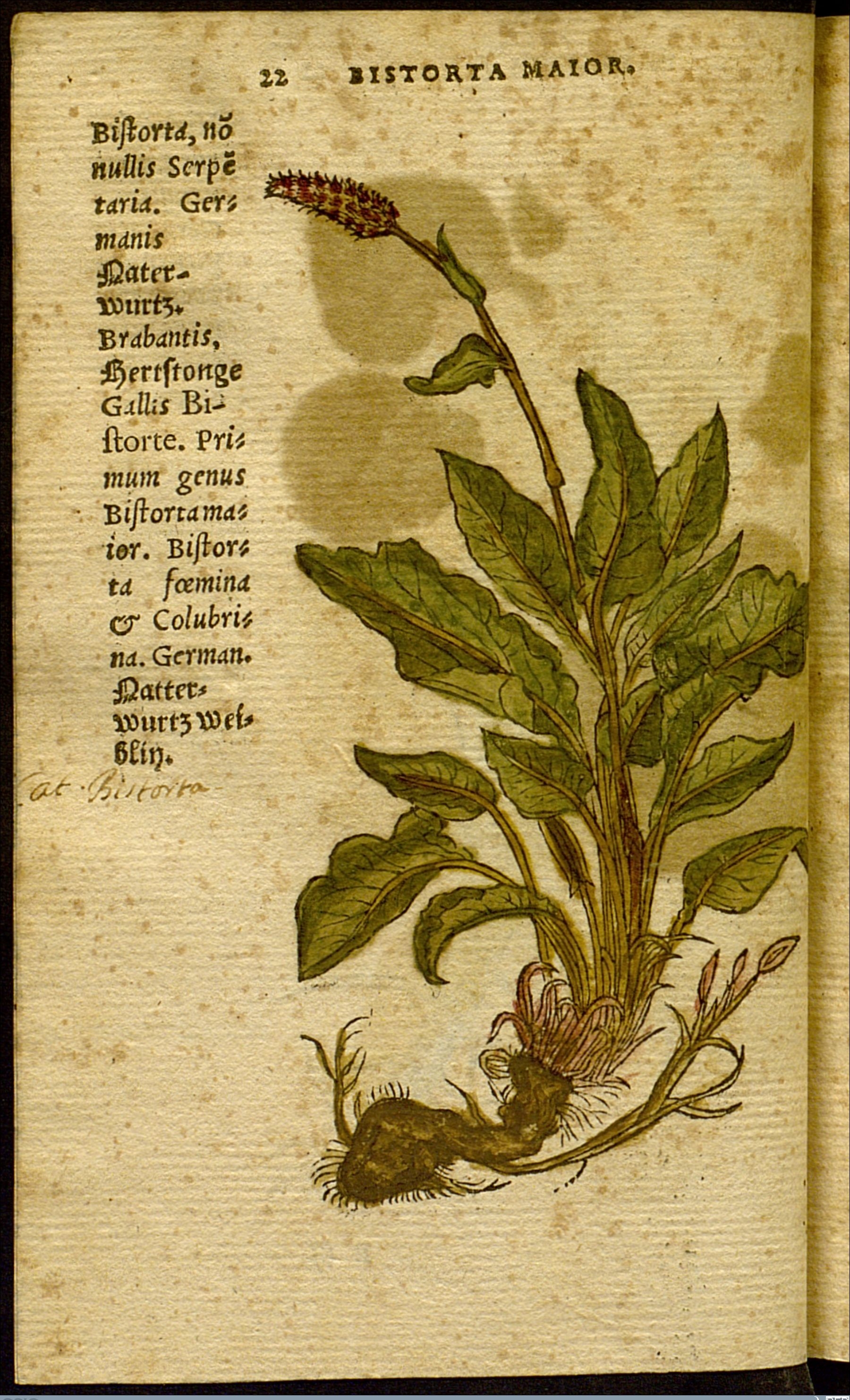 no full size  illustration available (3a)