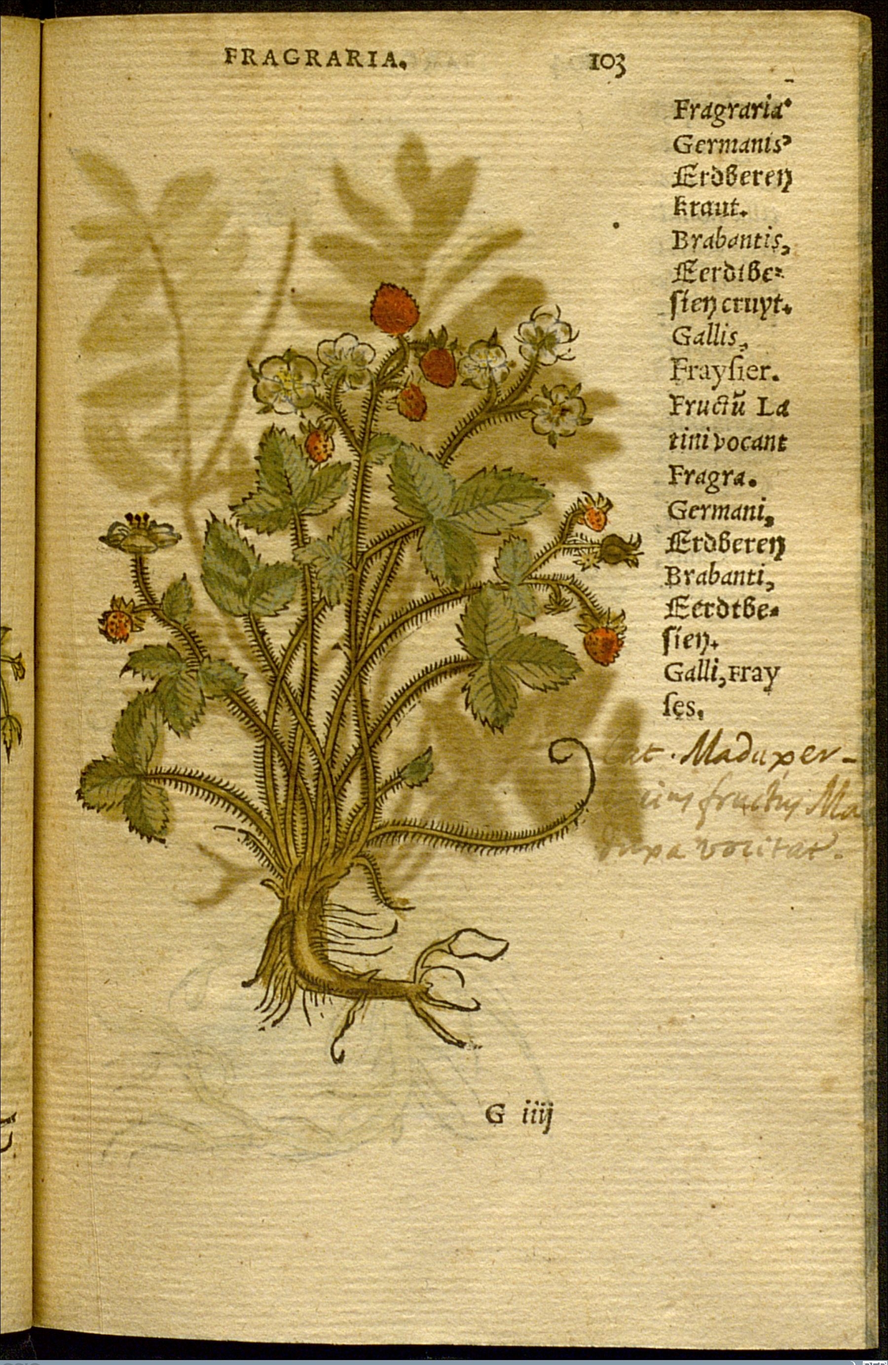 no full size  illustration available (3a)