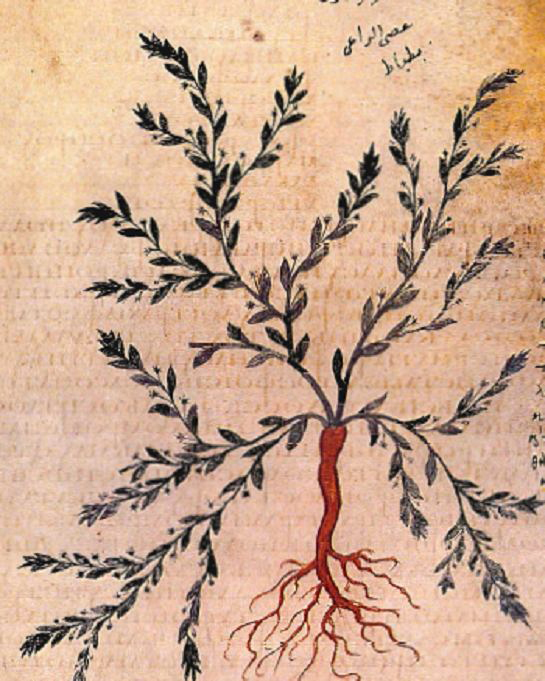 no full size  illustration available (3a)