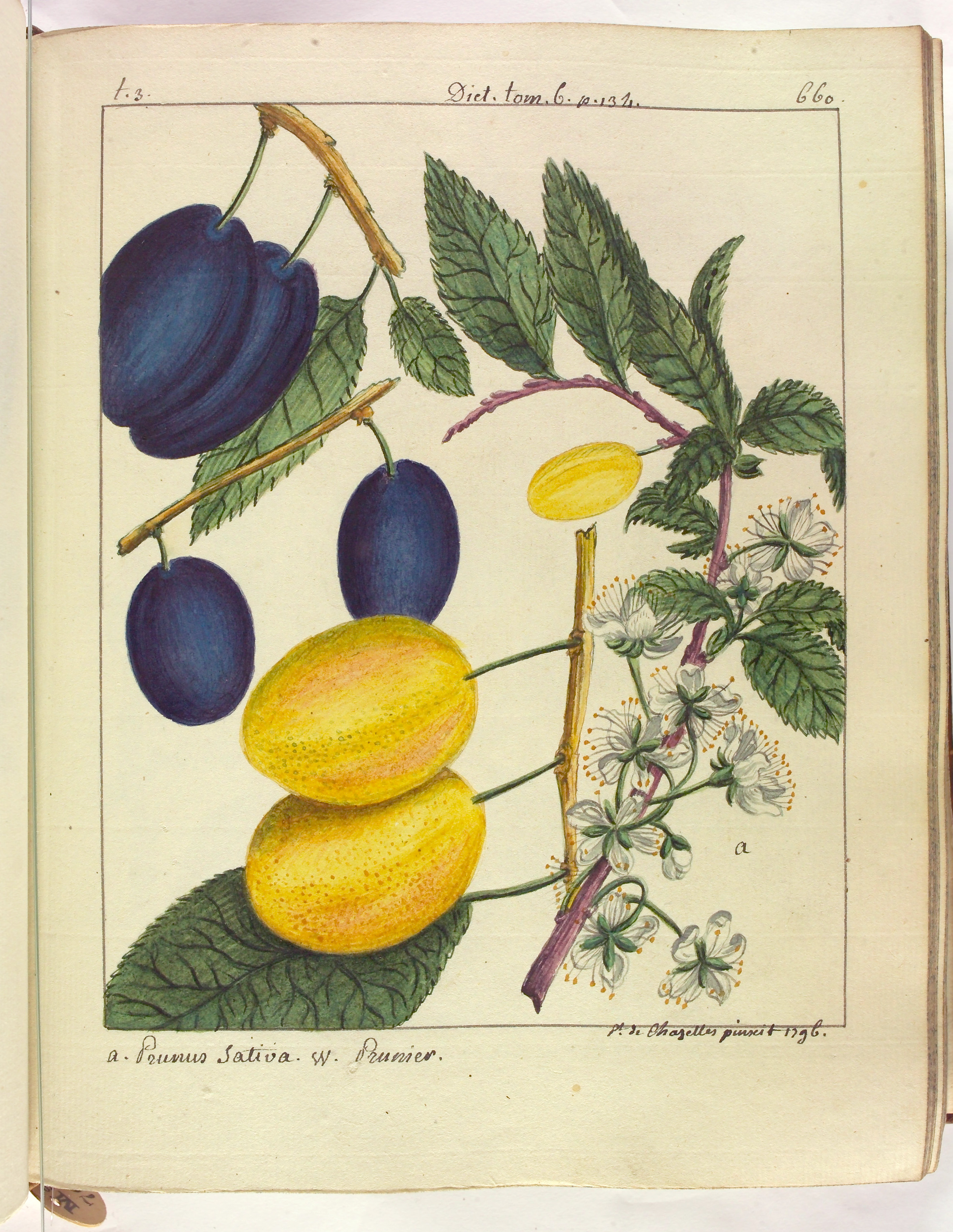 no full size  illustration available (3a)