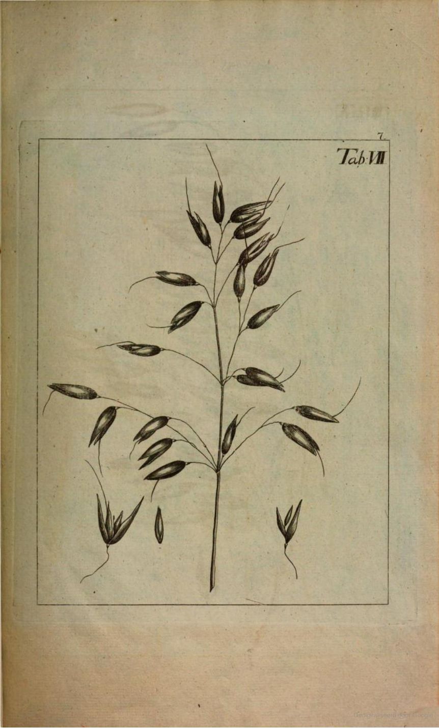 no full size  illustration available (3a)