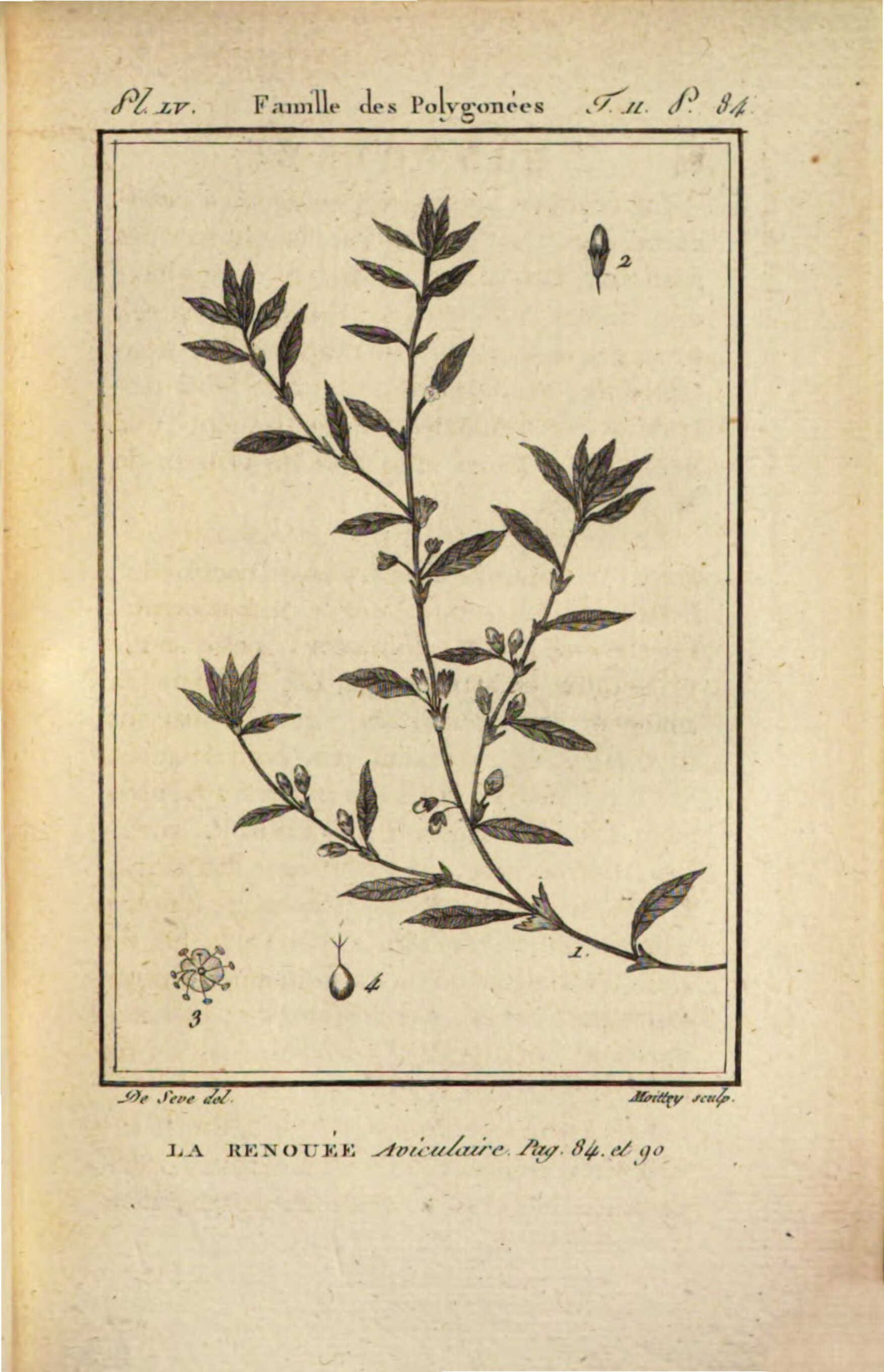 no full size  illustration available (3a)