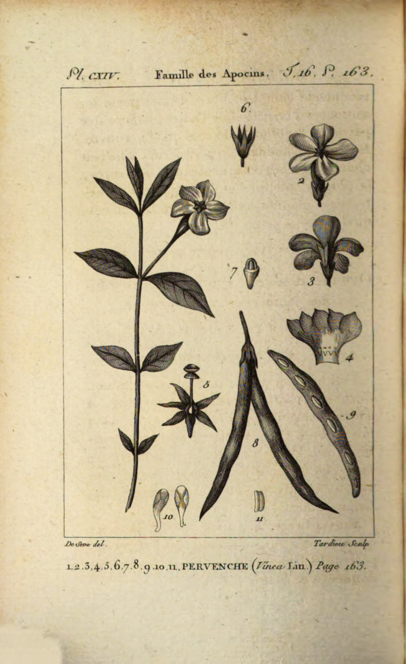 no full size  illustration available (3a)