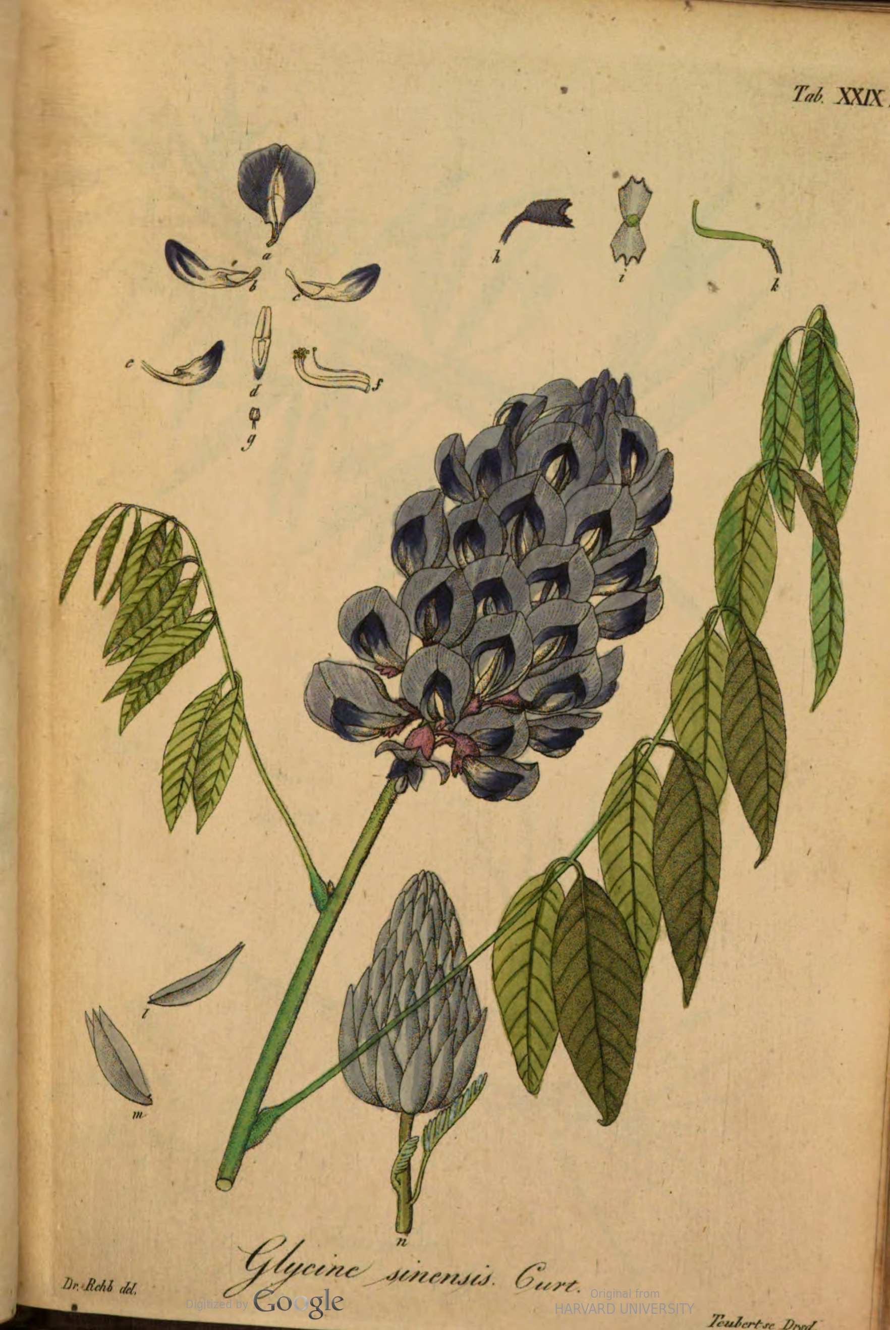 no full size  illustration available (3a)