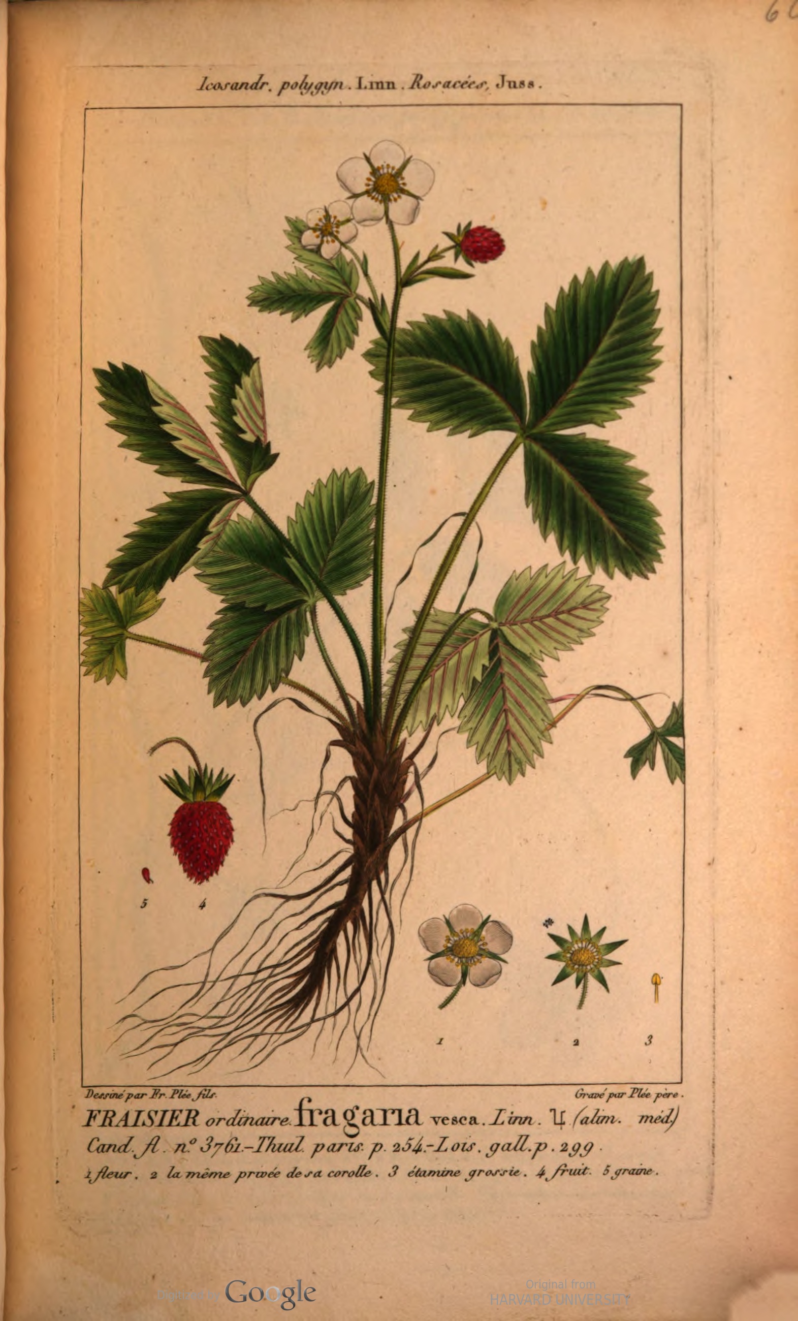 no full size  illustration available (3a)