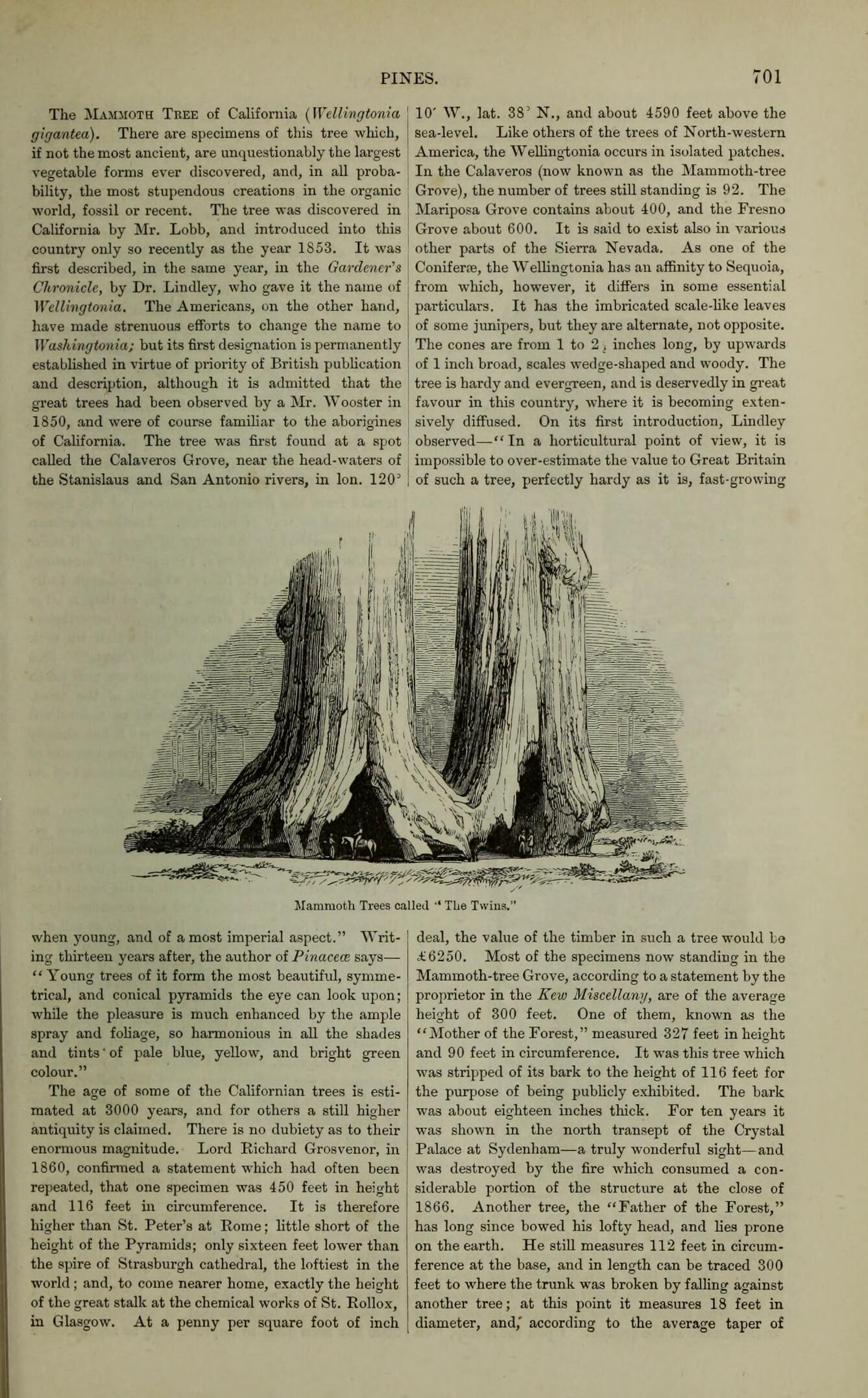 no full size  illustration available (3a)