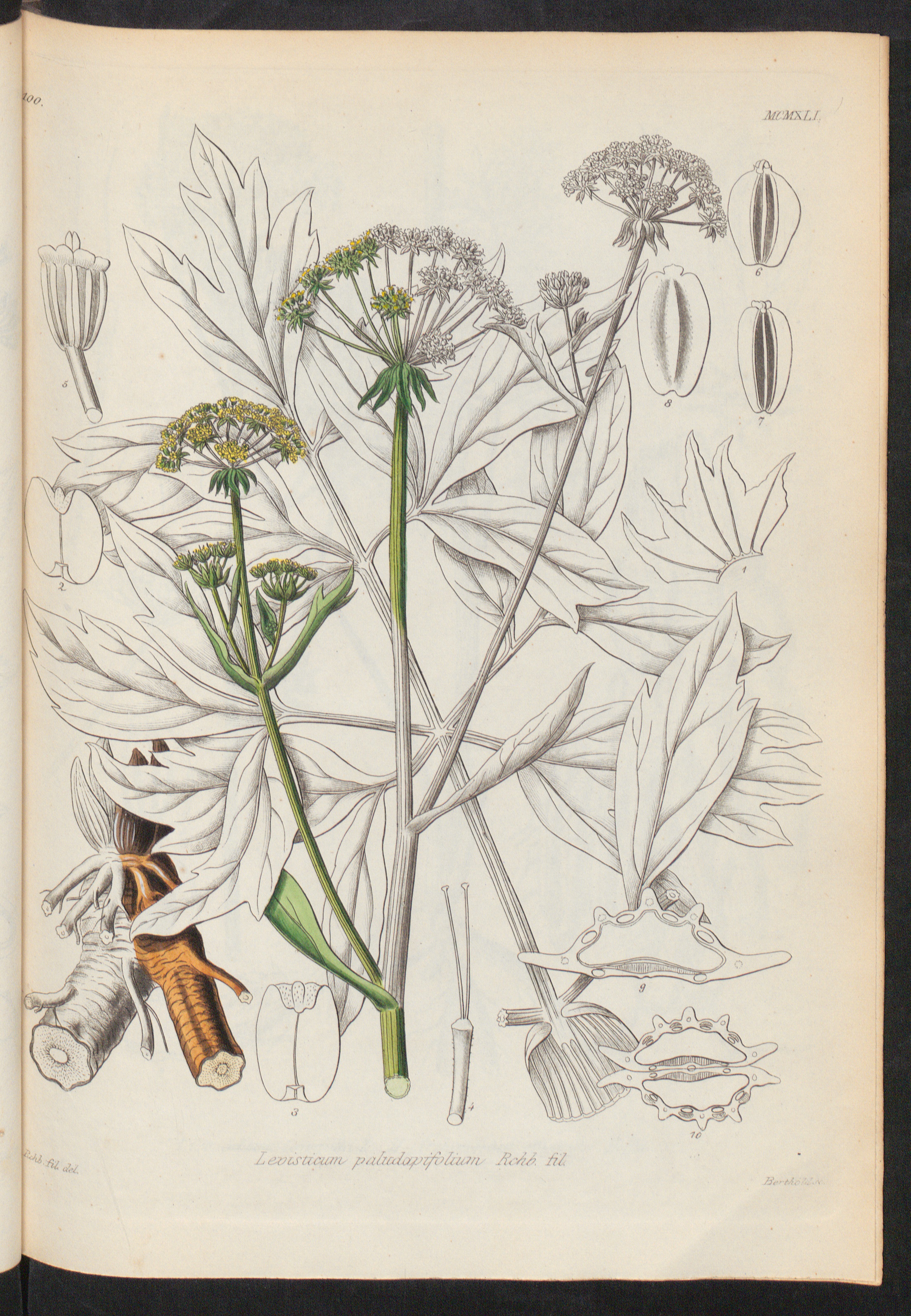 no full size  illustration available (3a)