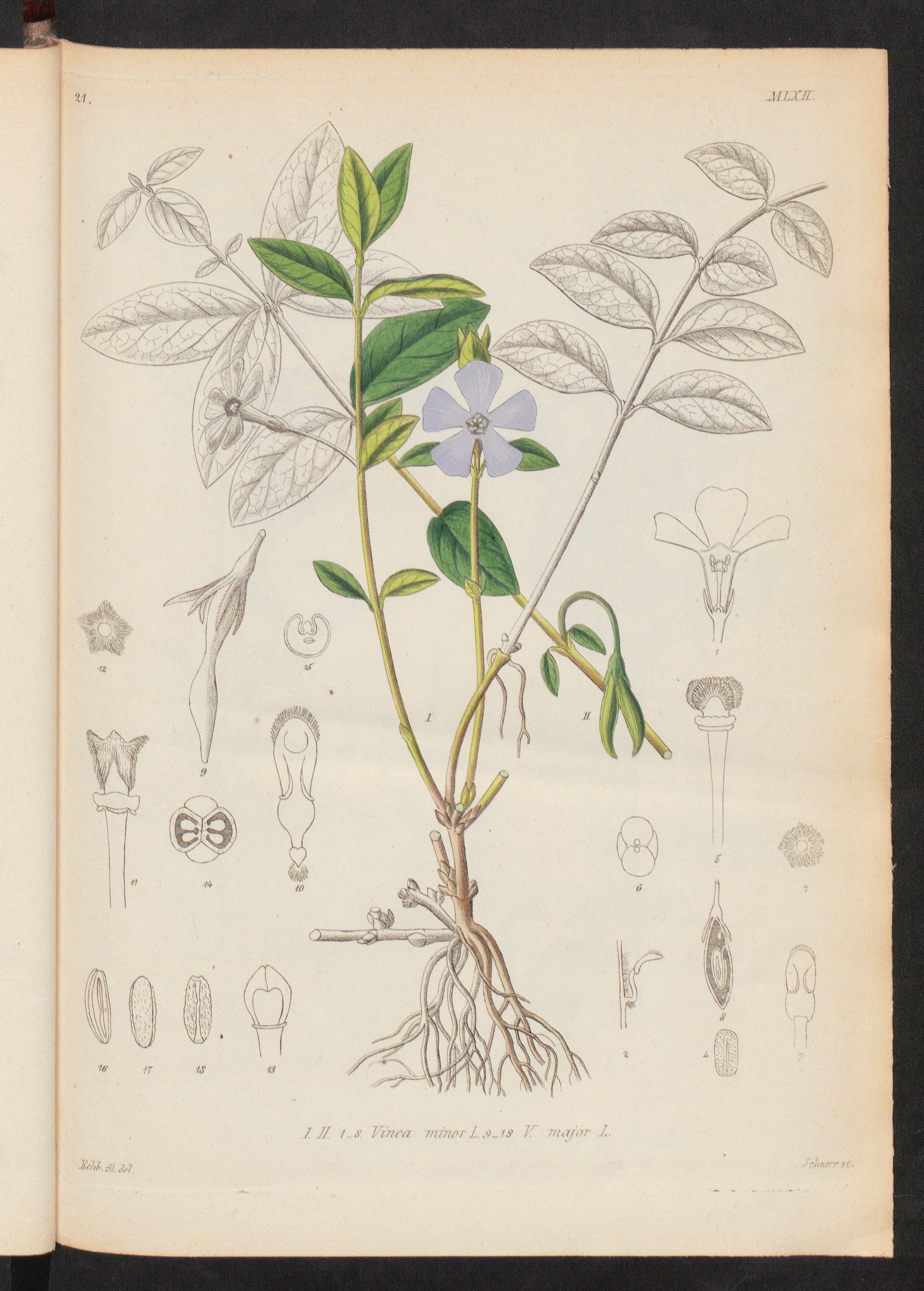 no full size  illustration available (3a)