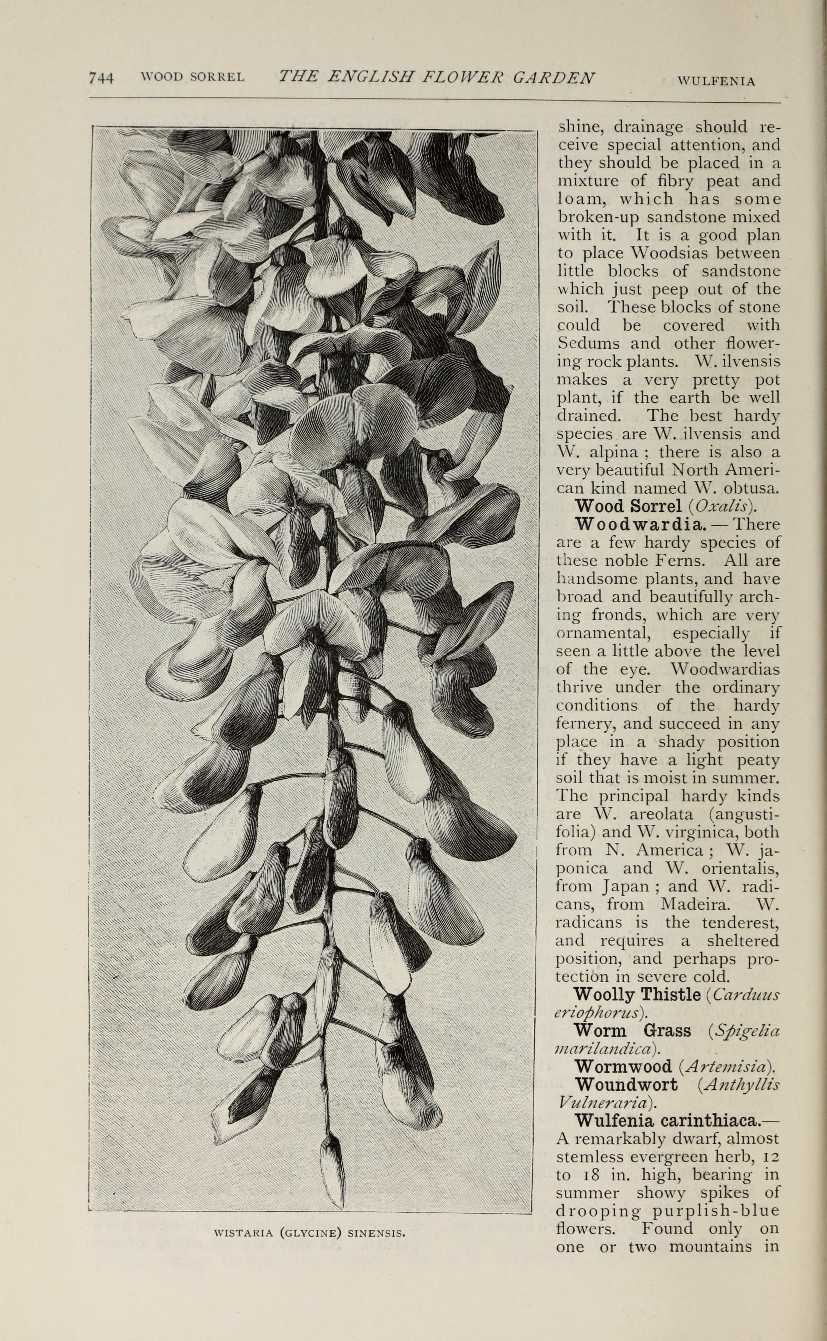 no full size  illustration available (3a)