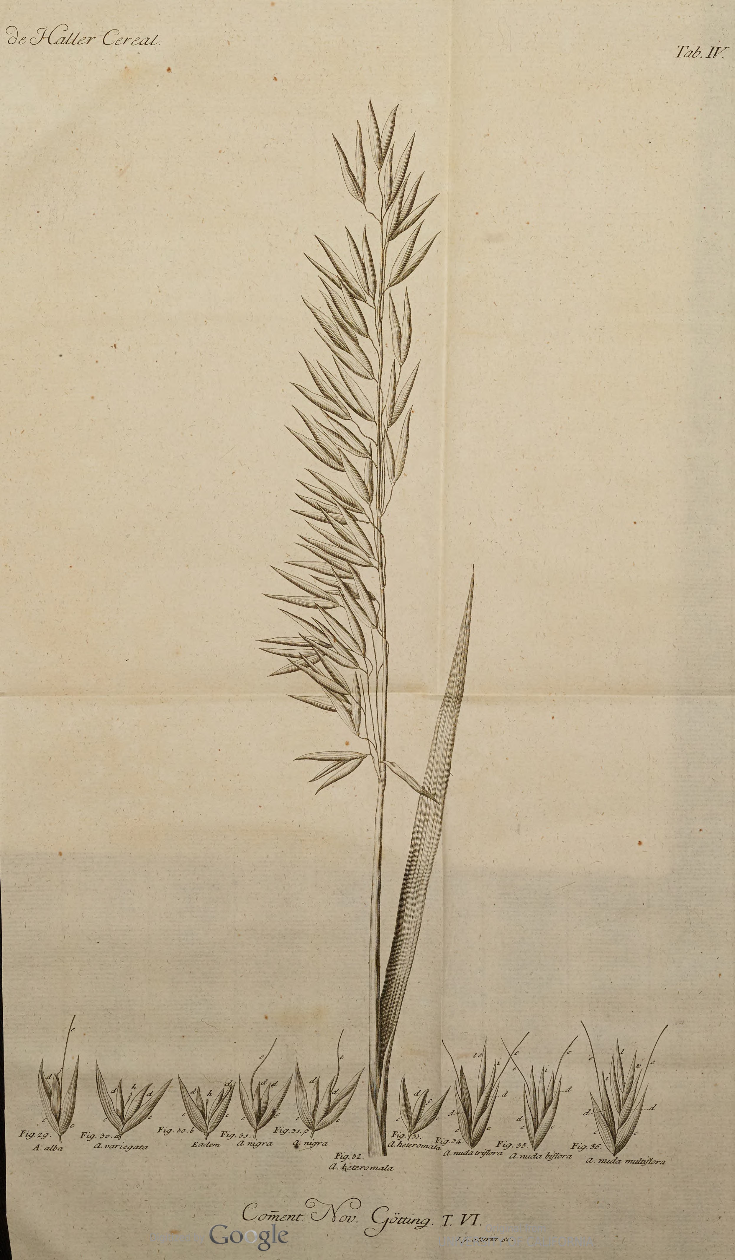 no full size  illustration available (3a)