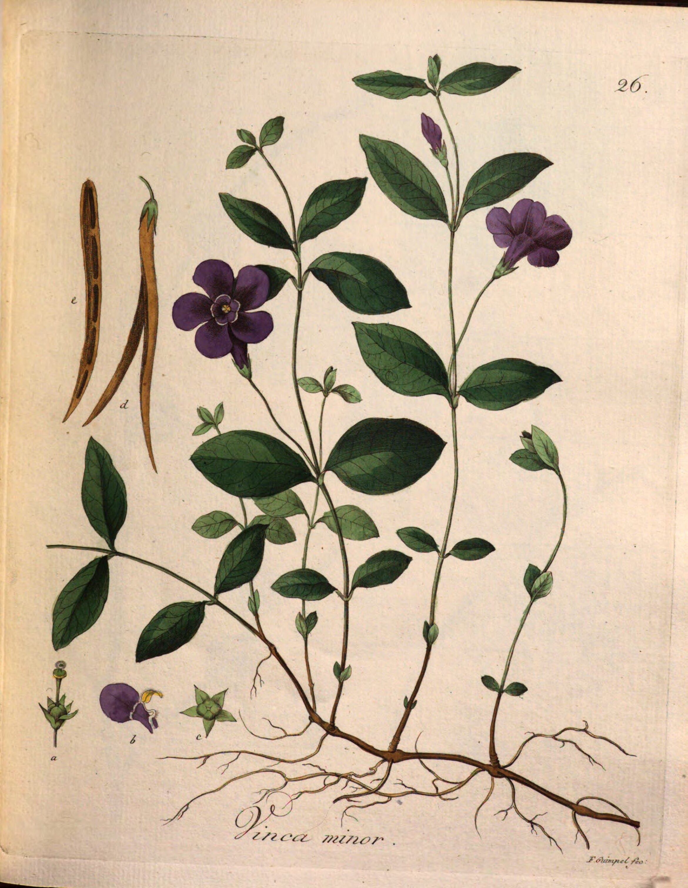 no full size  illustration available (3a)