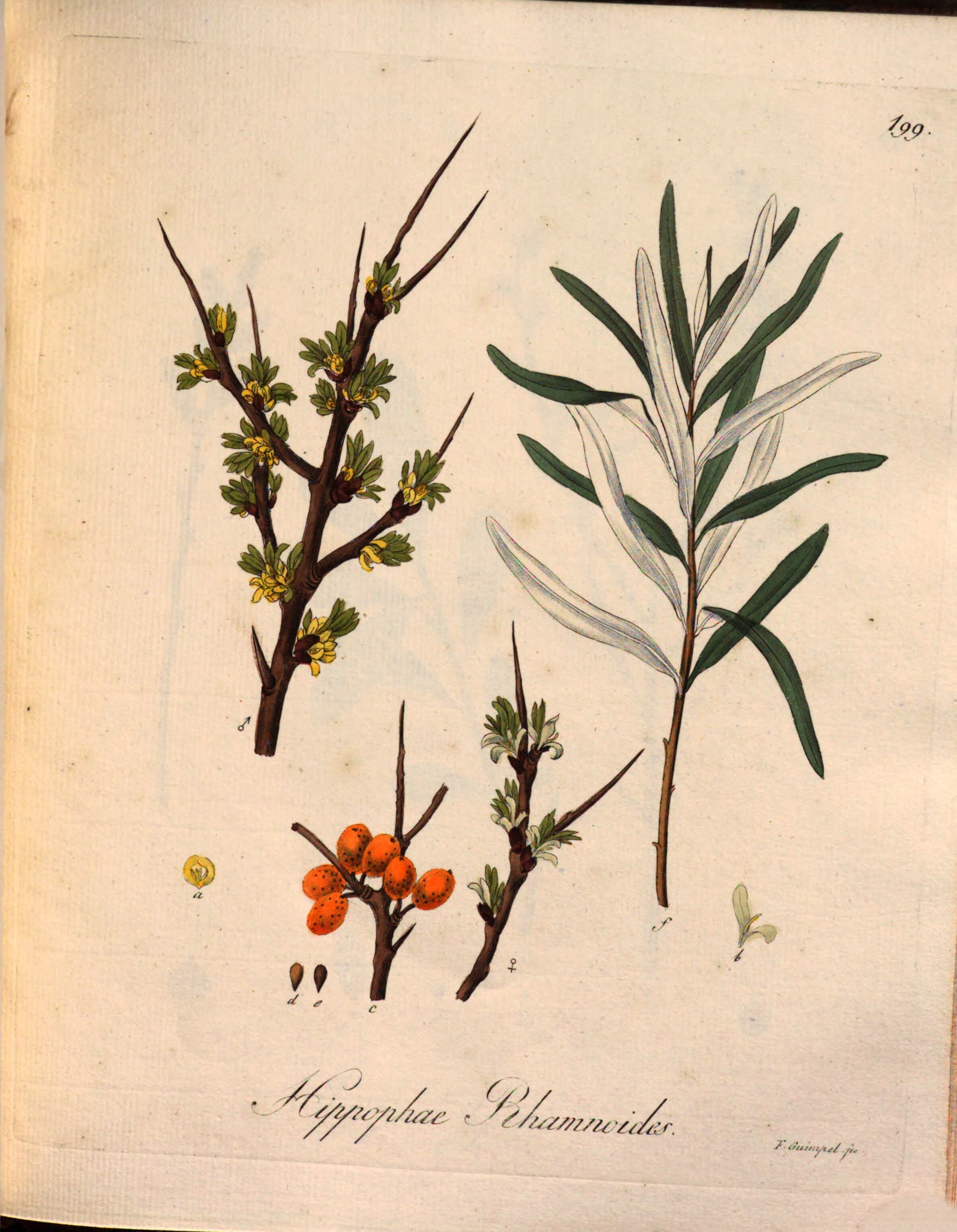 no full size  illustration available (3a)