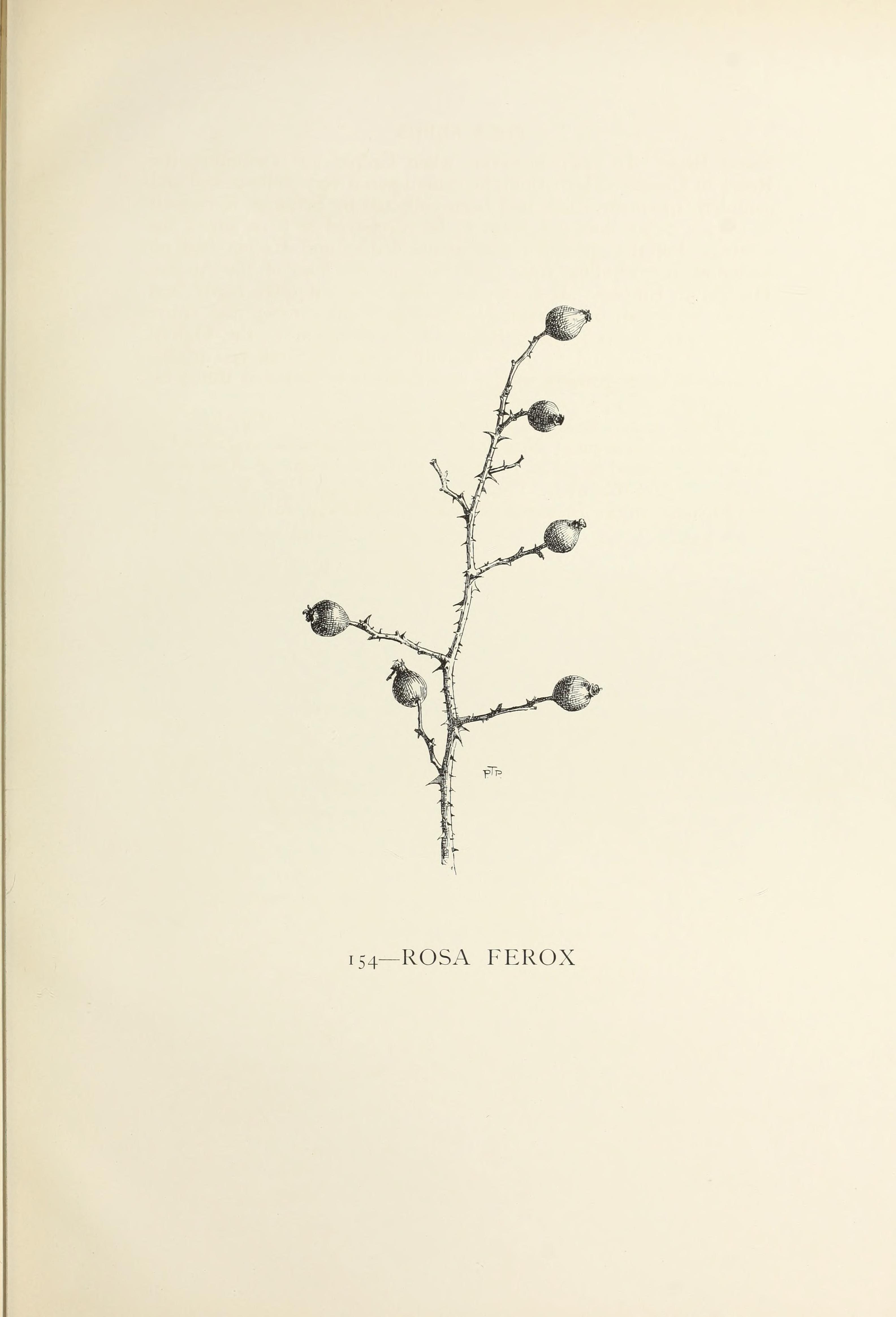 no full size  illustration available (3a)