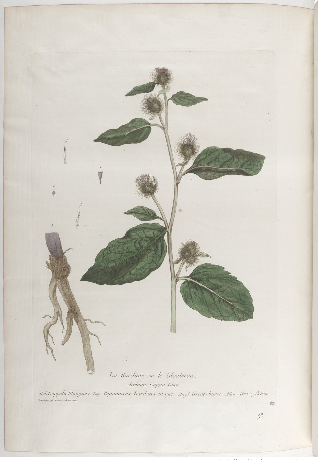 no full size  illustration available (3a)