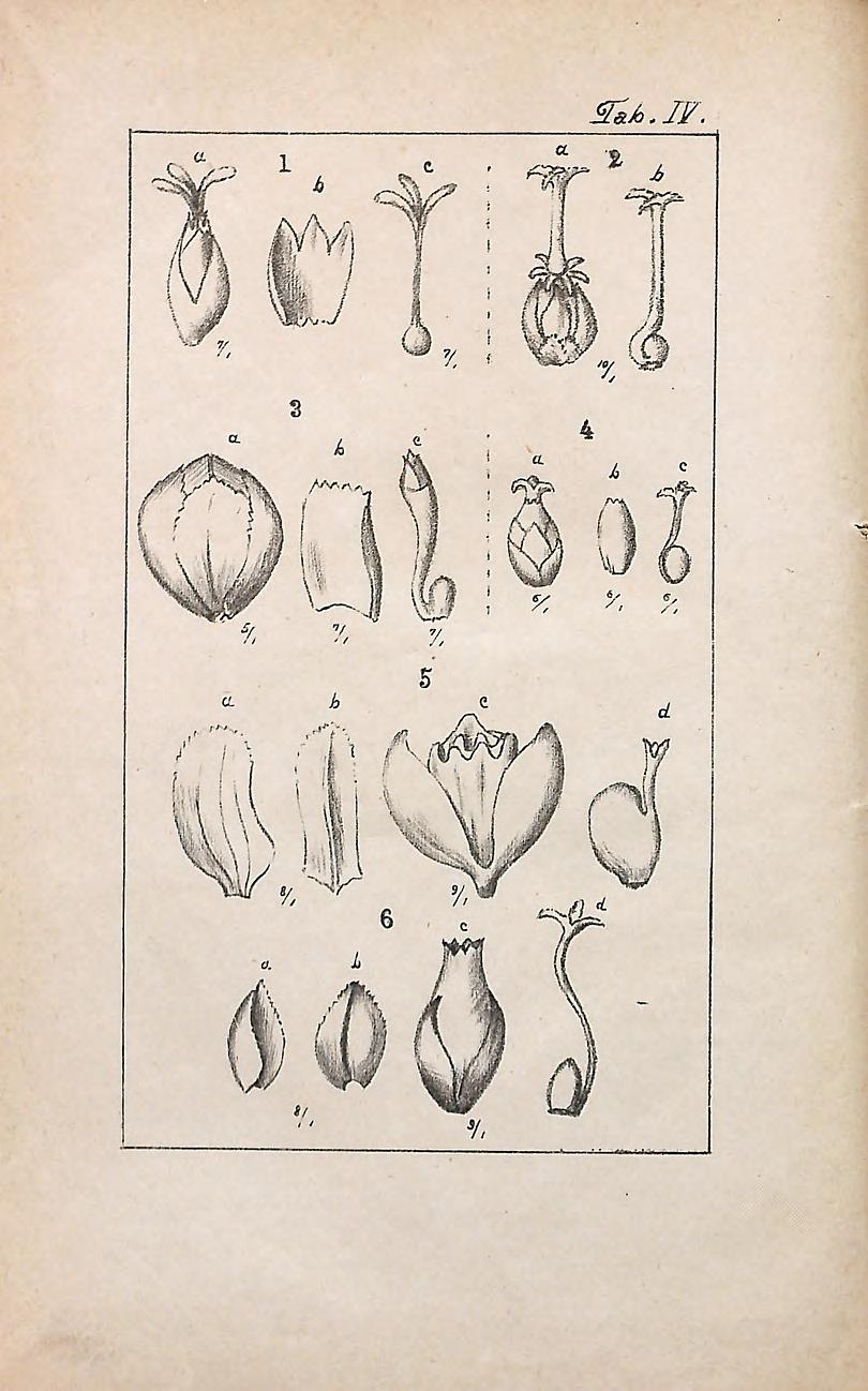 no full size  illustration available (3a)