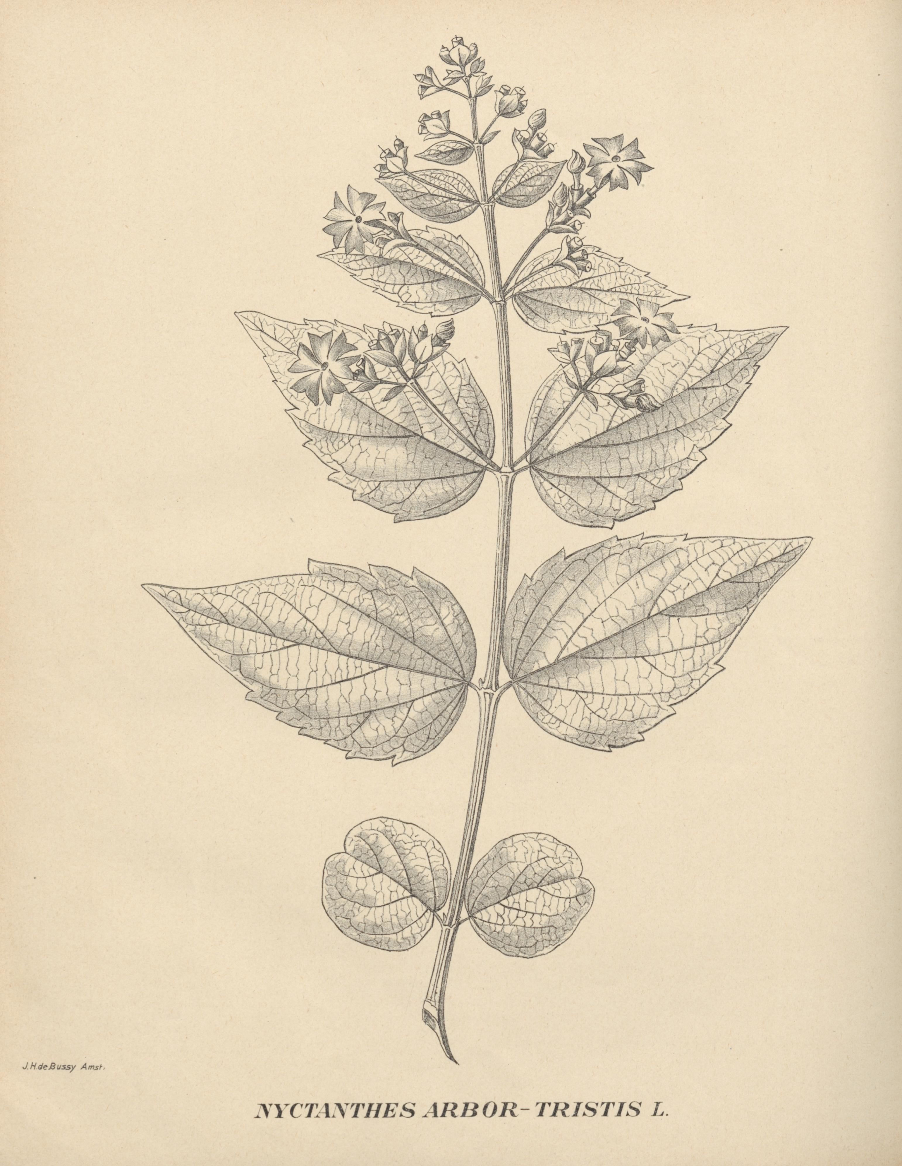 no full size  illustration available (3a)