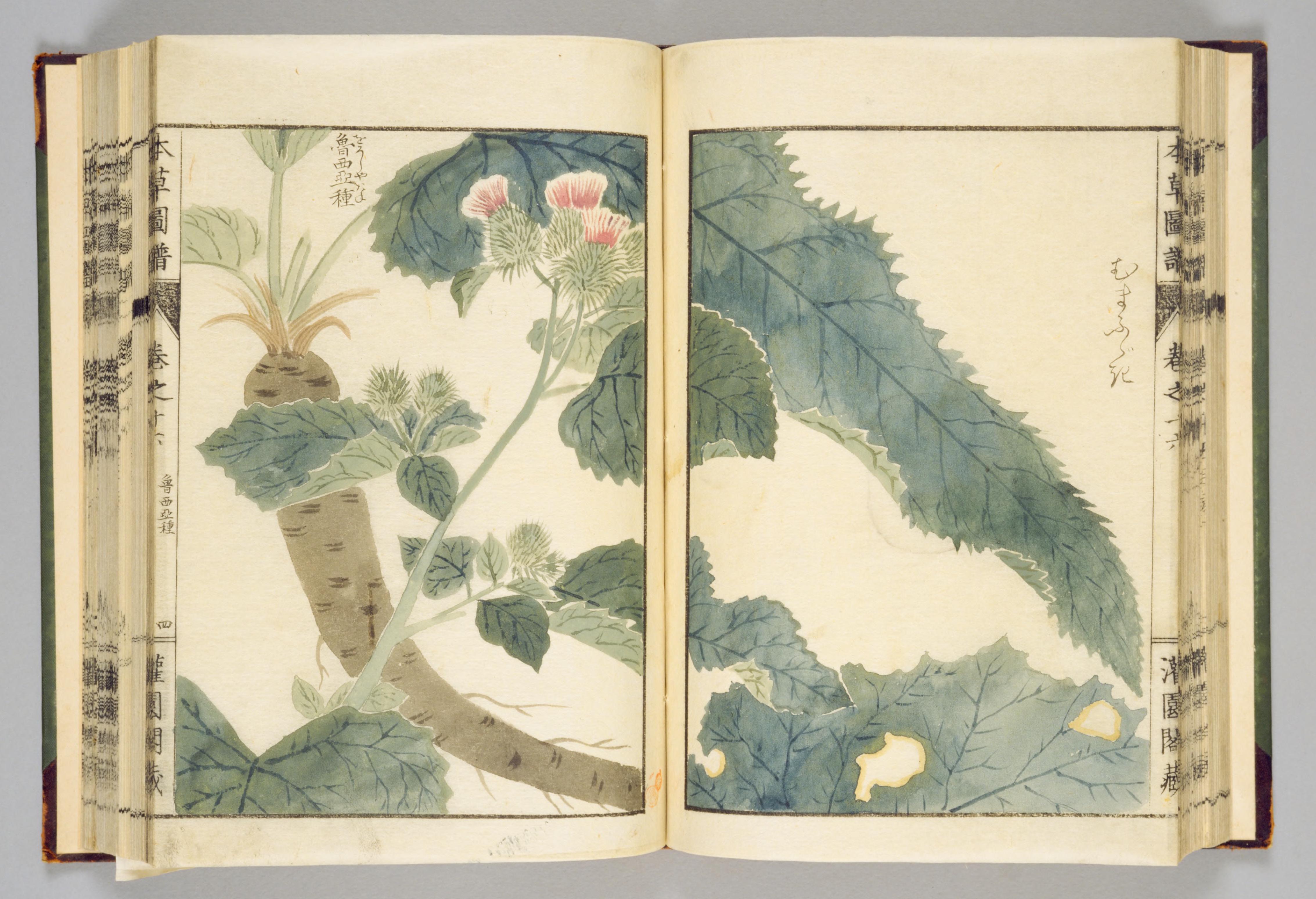 no full size  illustration available (3a)