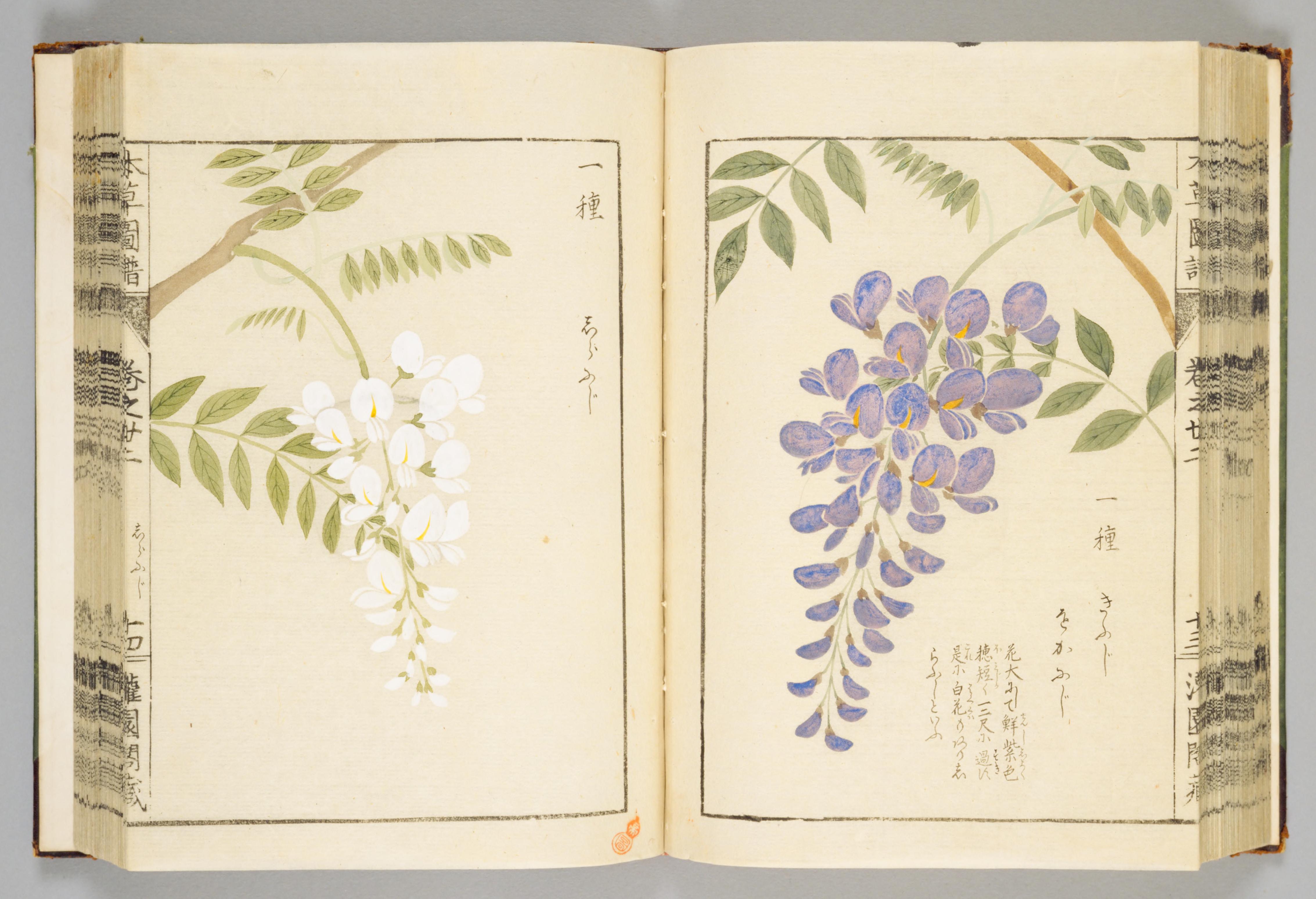 no full size  illustration available (3a)