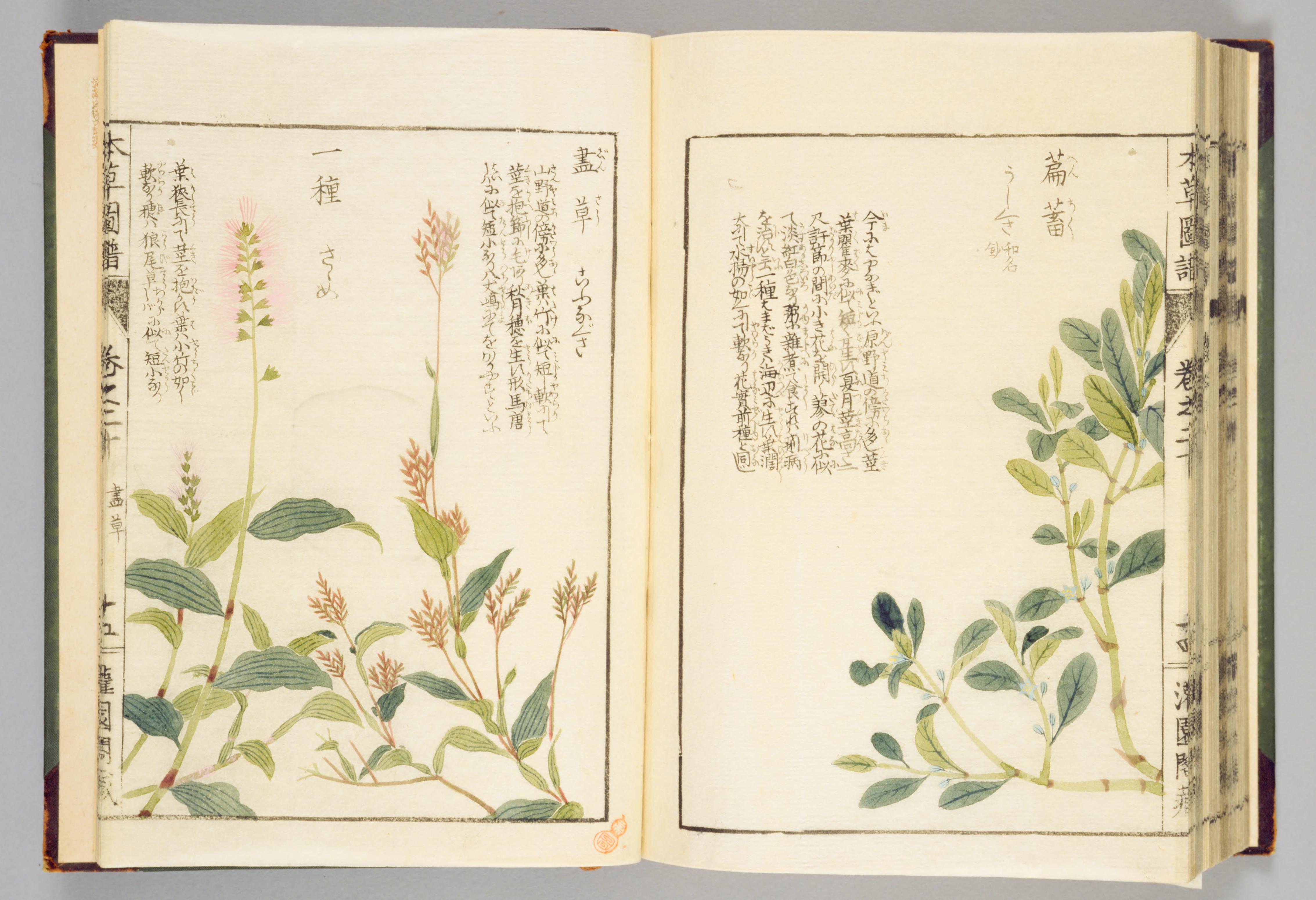 no full size  illustration available (3a)