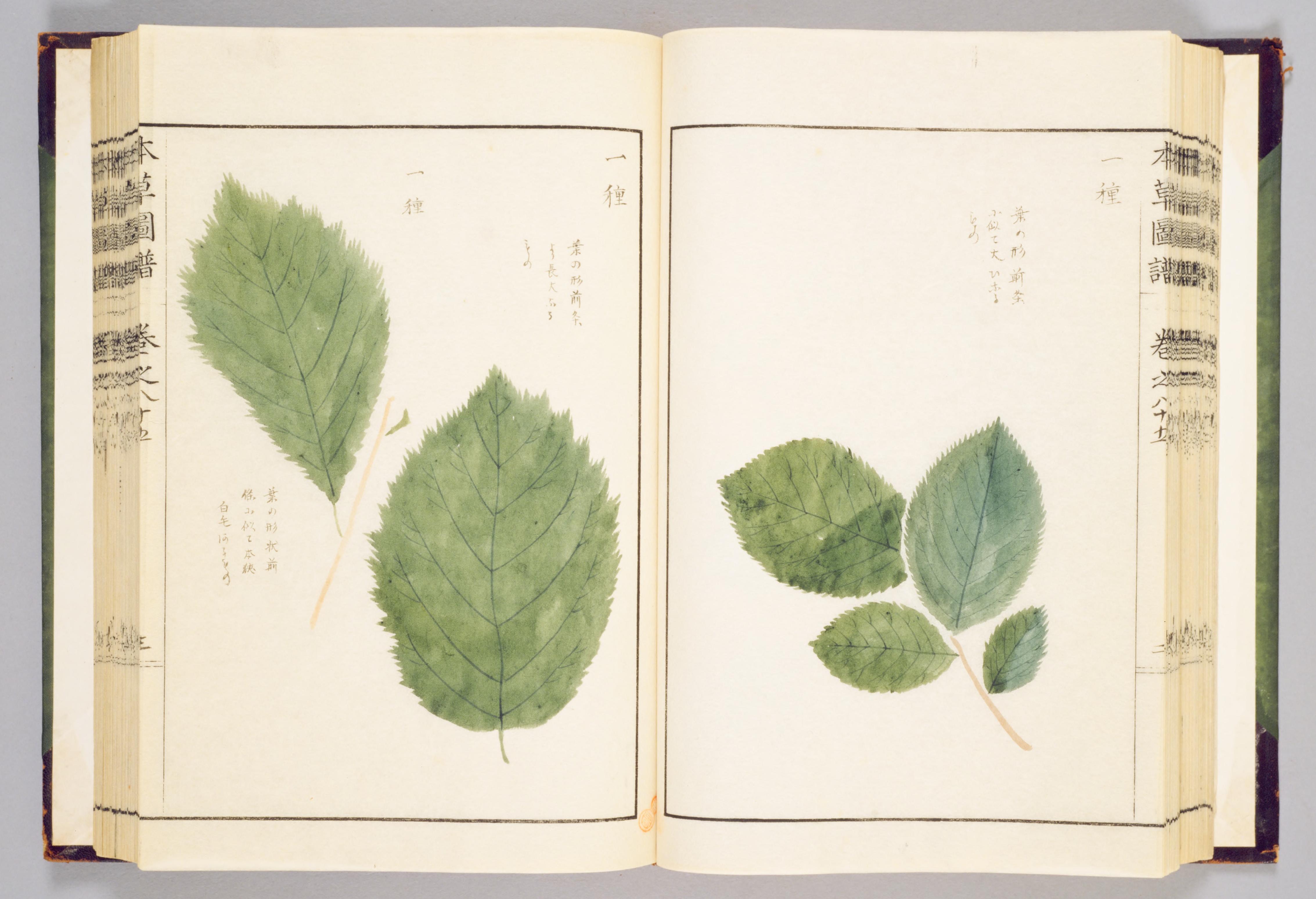 no full size  illustration available (3a)