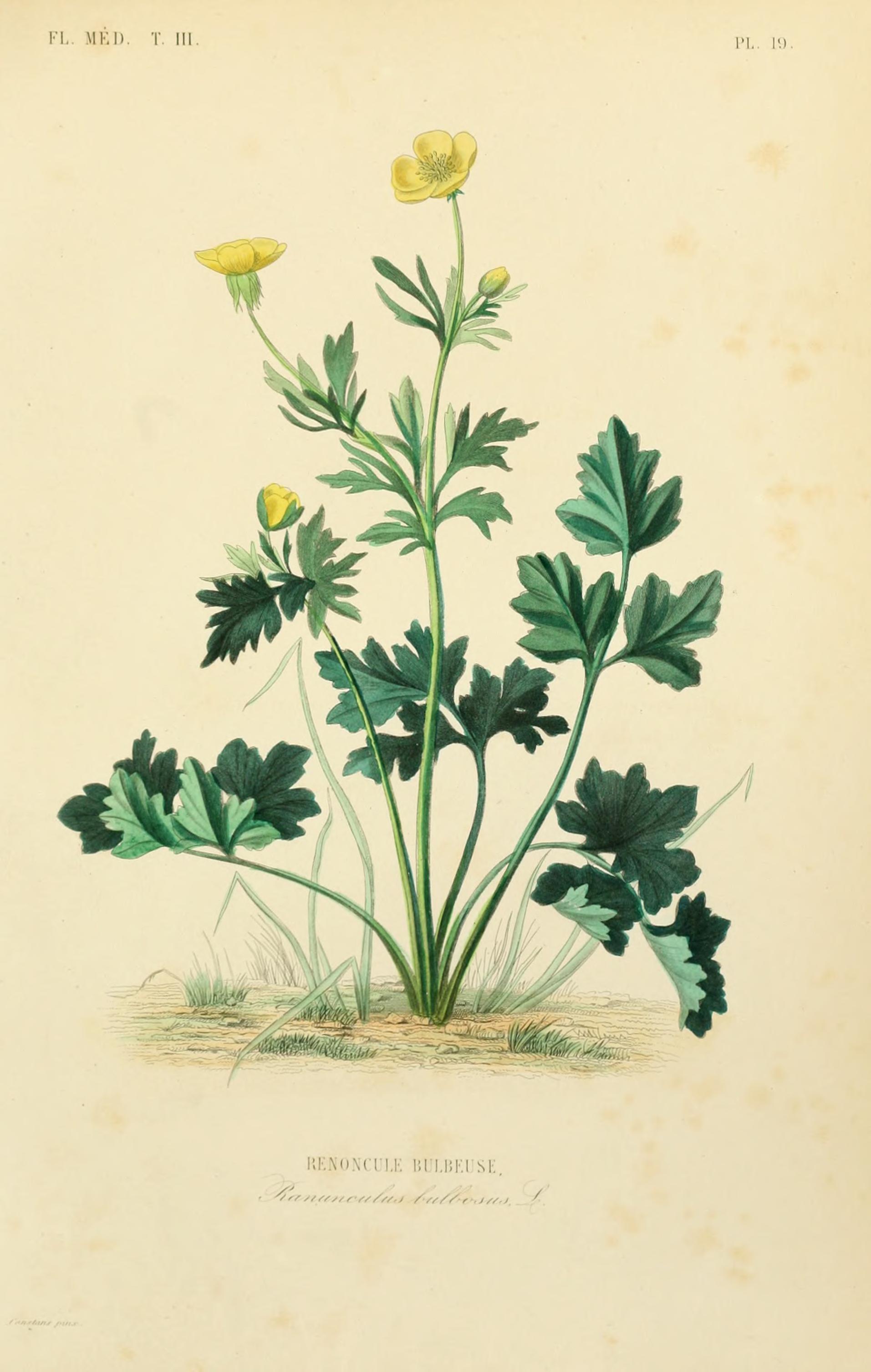 no full size  illustration available (3a)