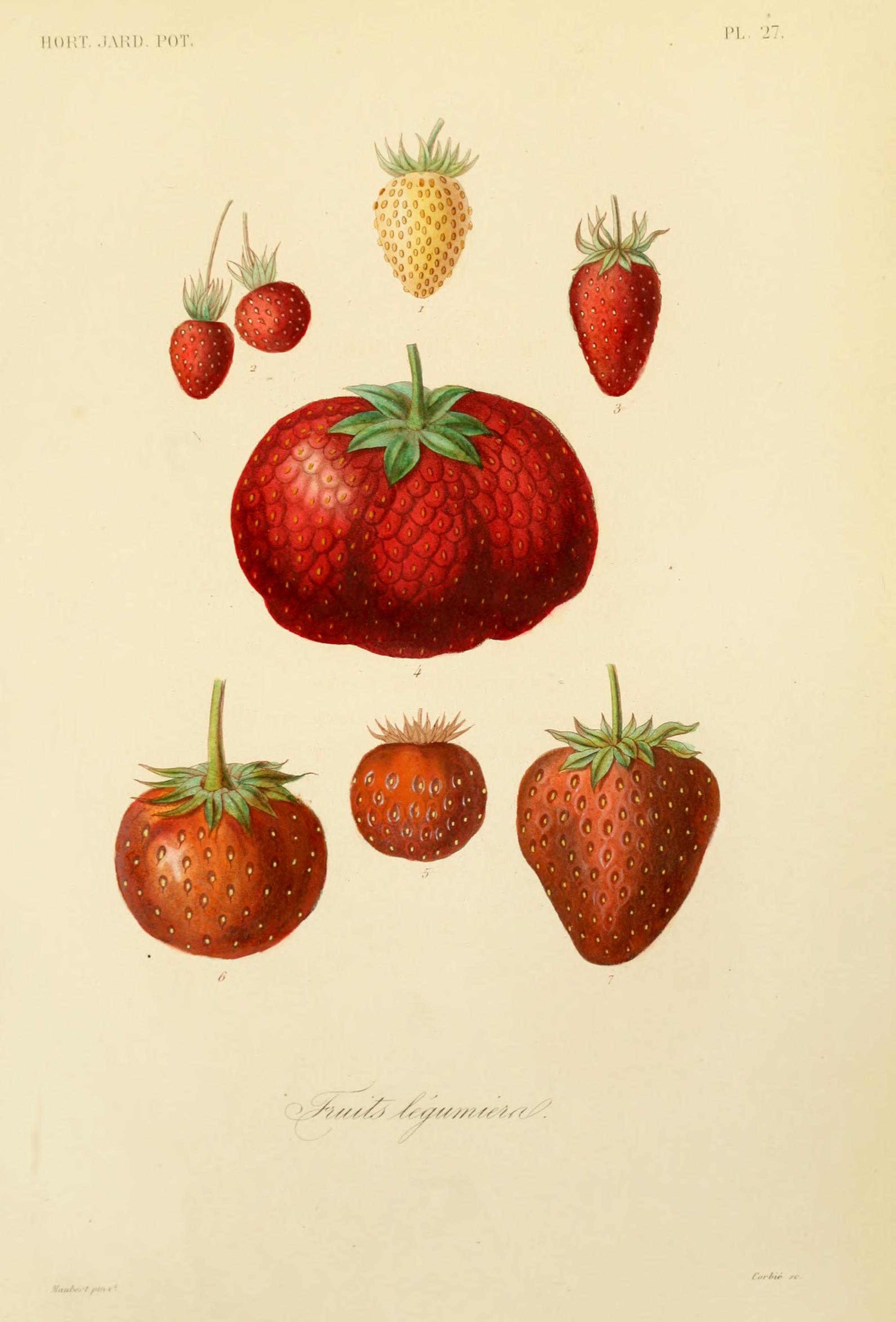 no full size  illustration available (3a)