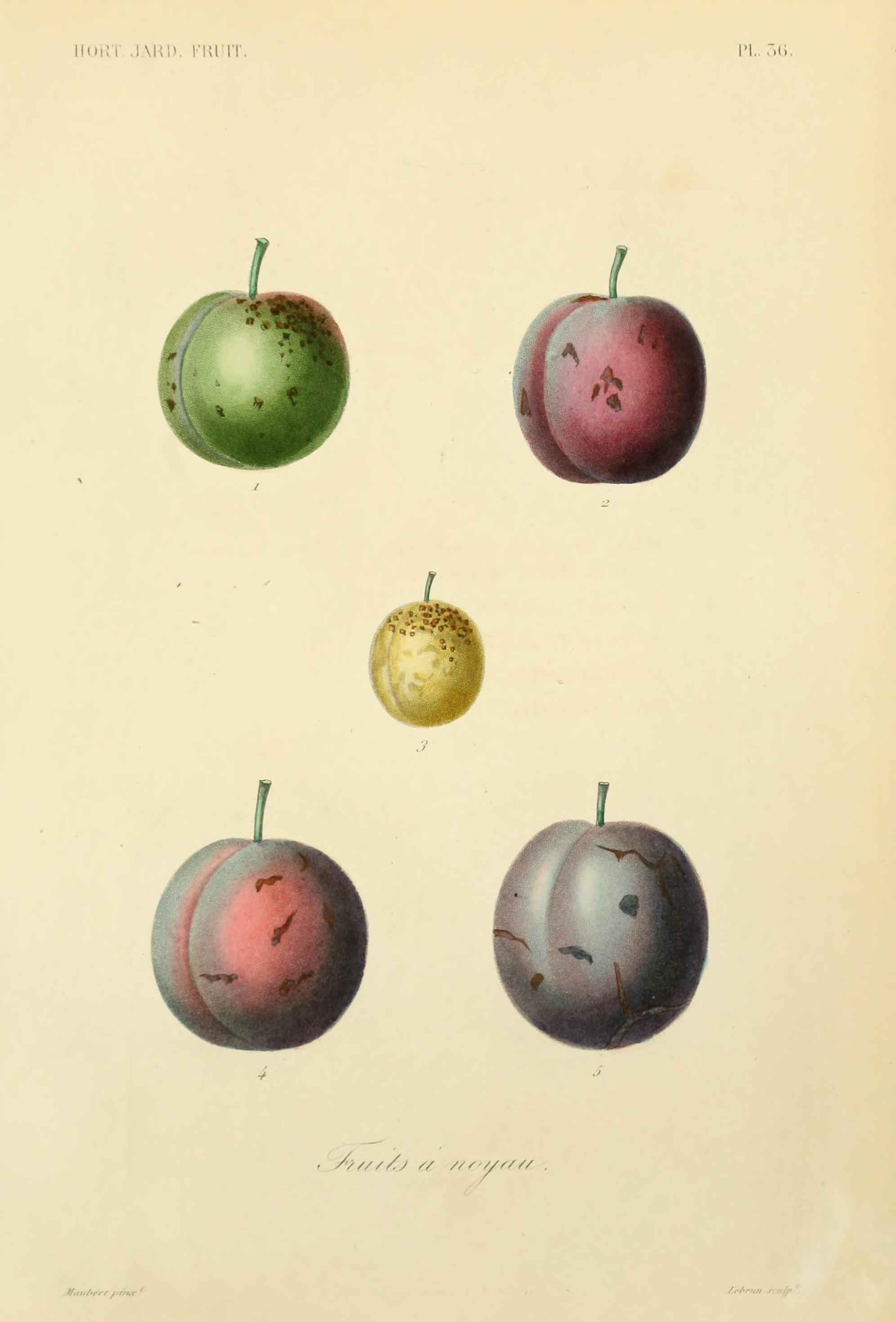 no full size  illustration available (3a)