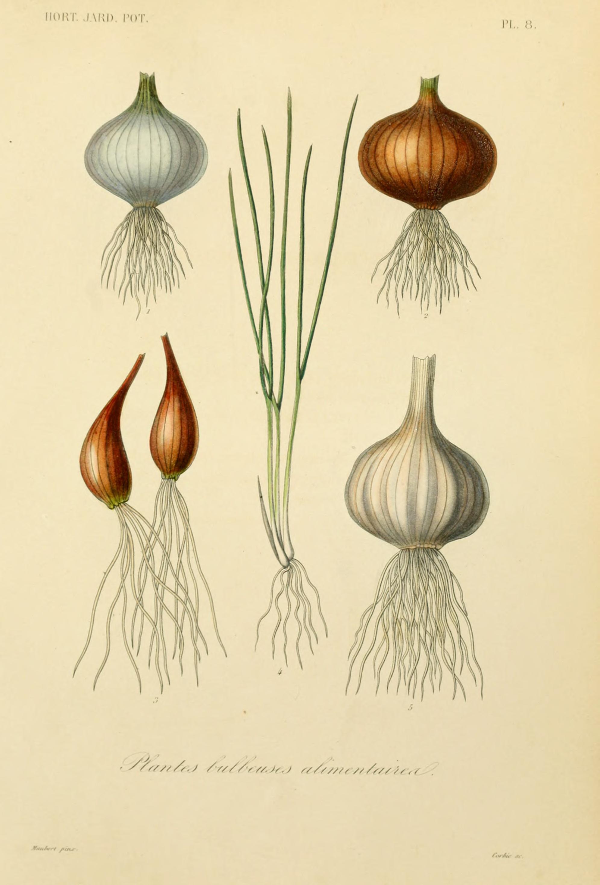 no full size  illustration available (3a)