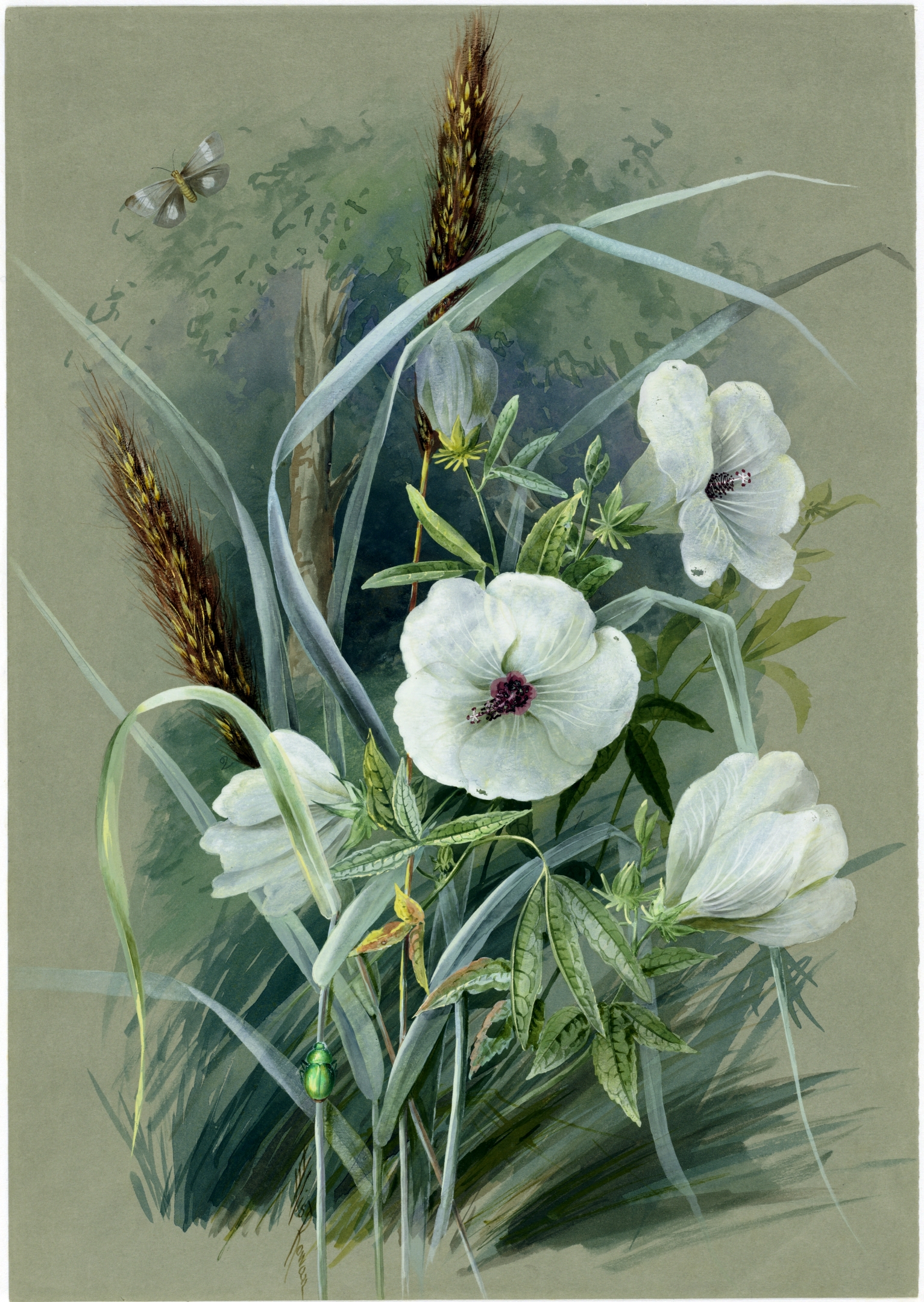 no full size  illustration available (3a)