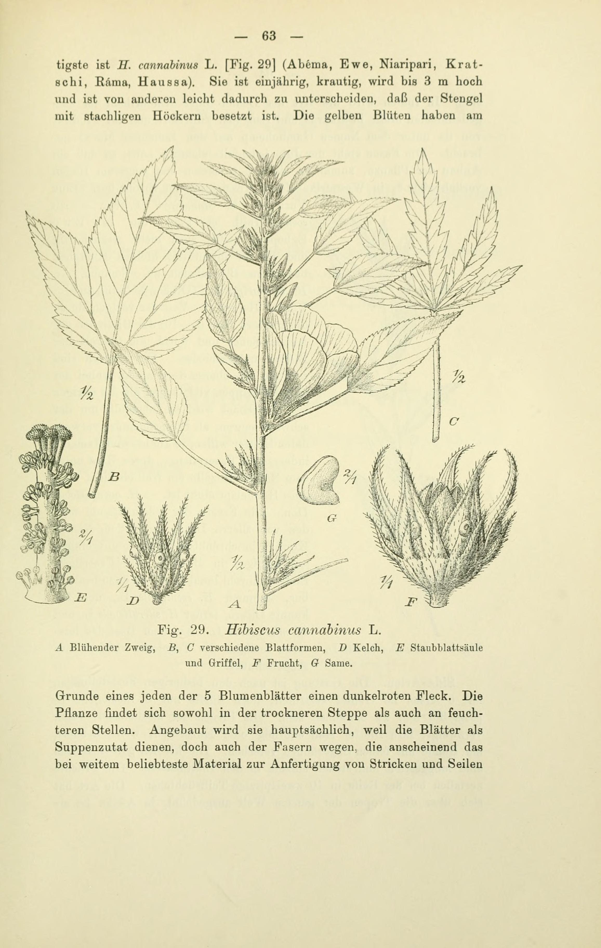 no full size  illustration available (3a)